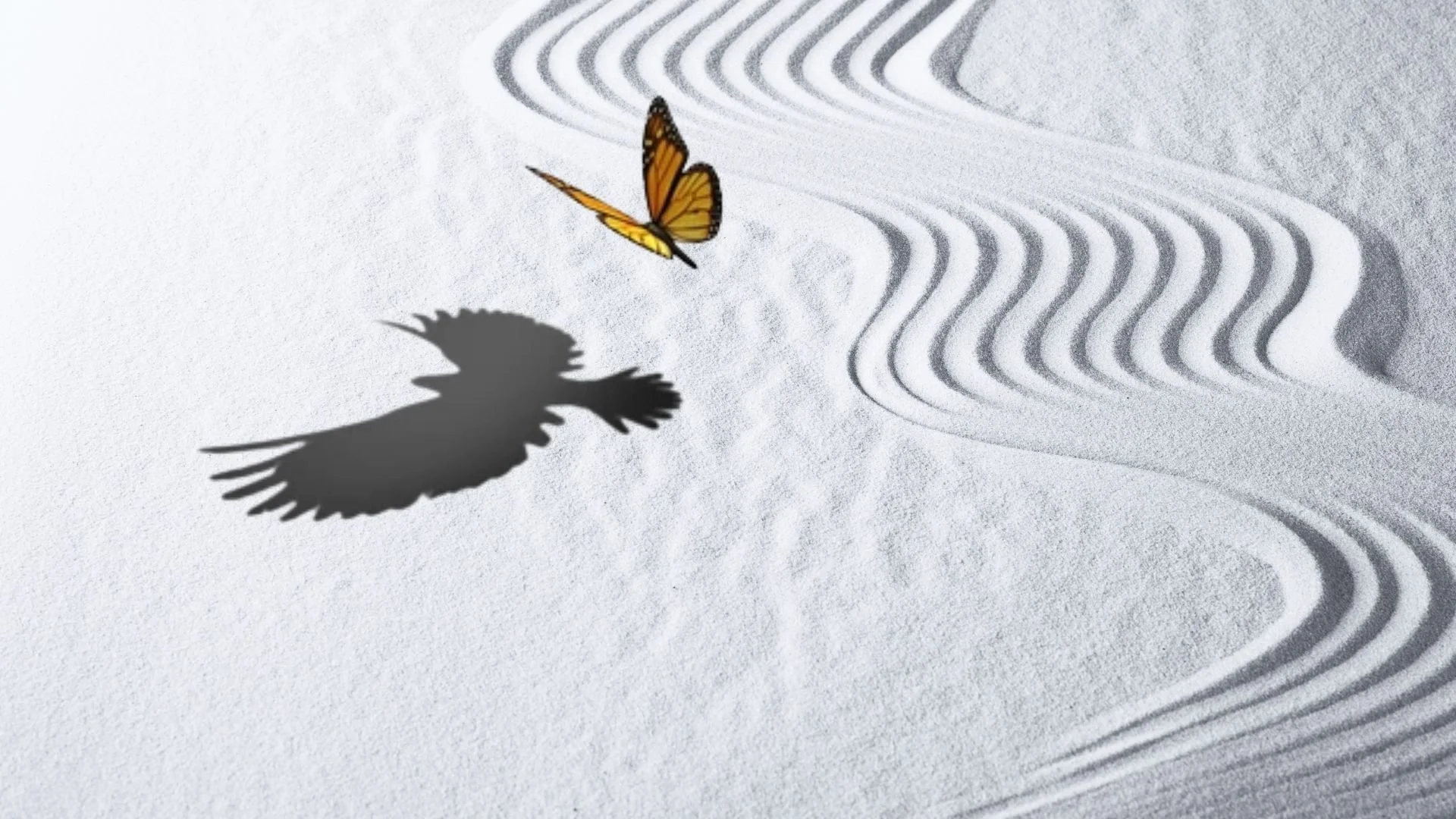 Accomplishing Goals Image (Butterfly with Hawk Shadow)