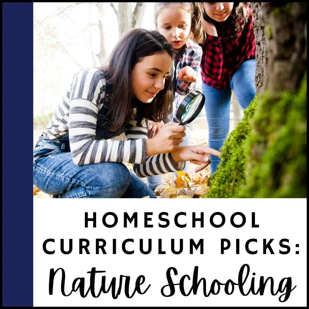 History Quest A Solid Secular History Curriculum Hummingbird Homeschool history-quest-a-solid-secular-history-curriculum-hummingbird-homeschool