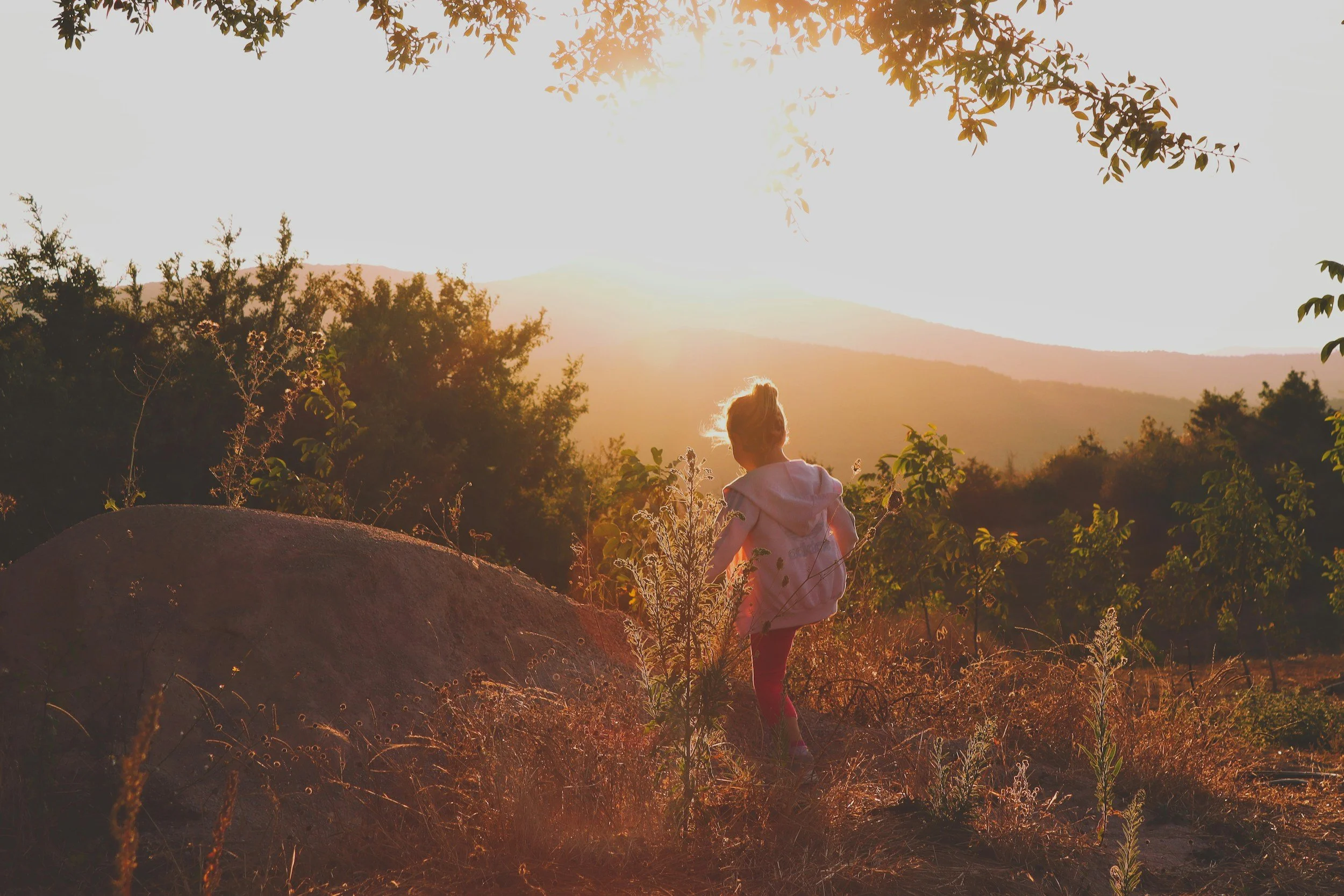 child outside at sunset in tall weeds about to climb a rock