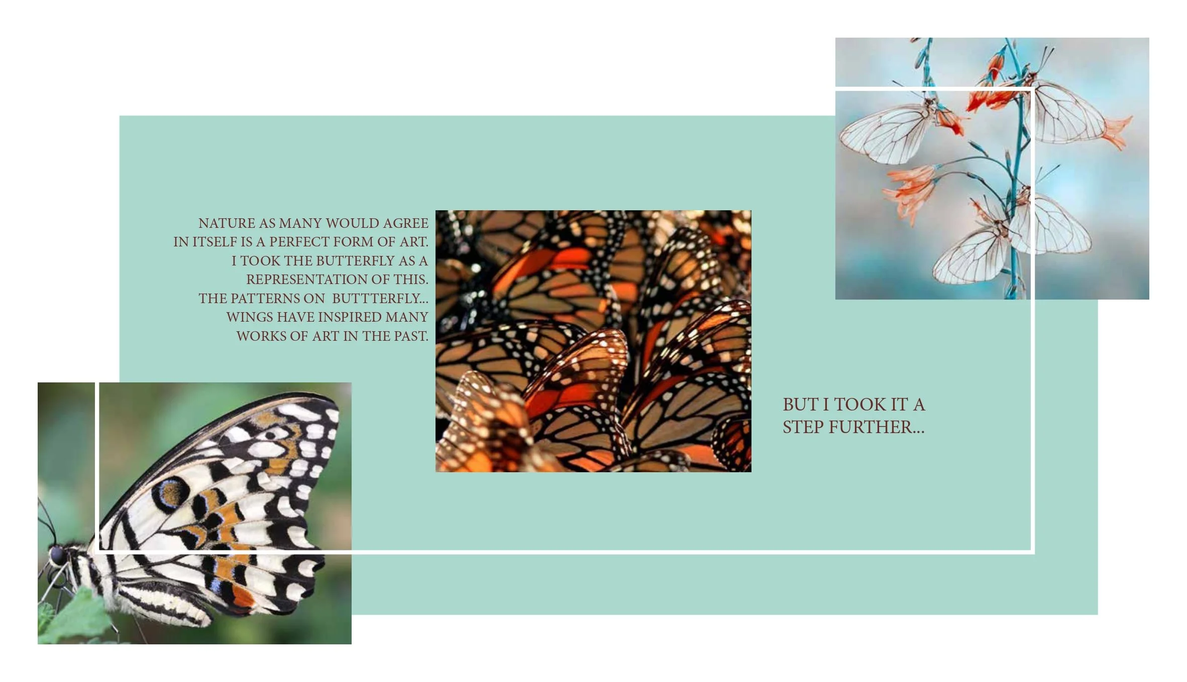BUTTERFLY MICRO BY SHAHA_page-0003.jpg