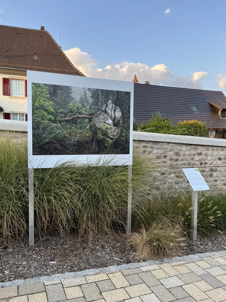 Biennale de la Photographie de Mulhouse2.jpeg