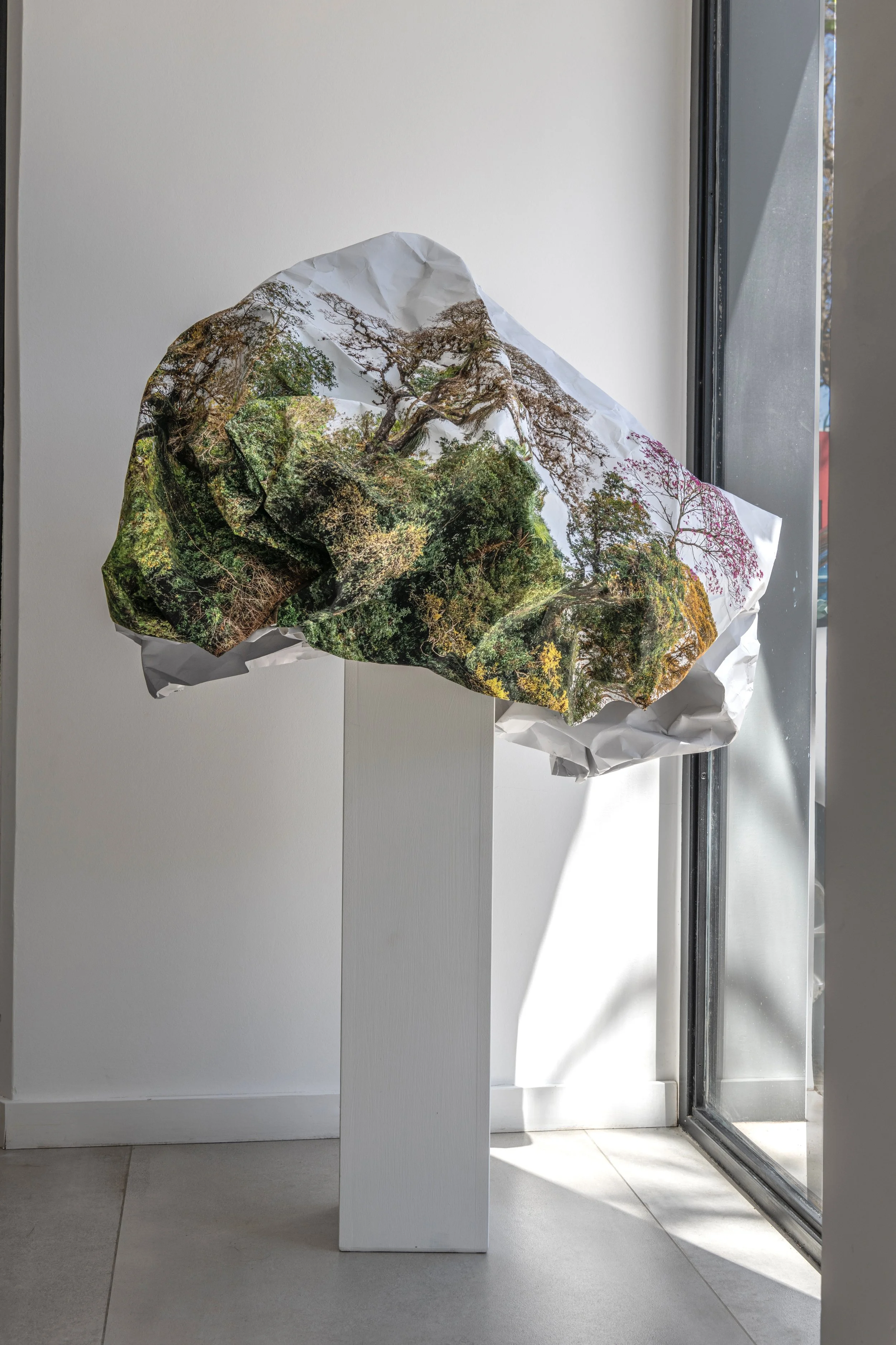 _ING6003-1 copy 2.jpg