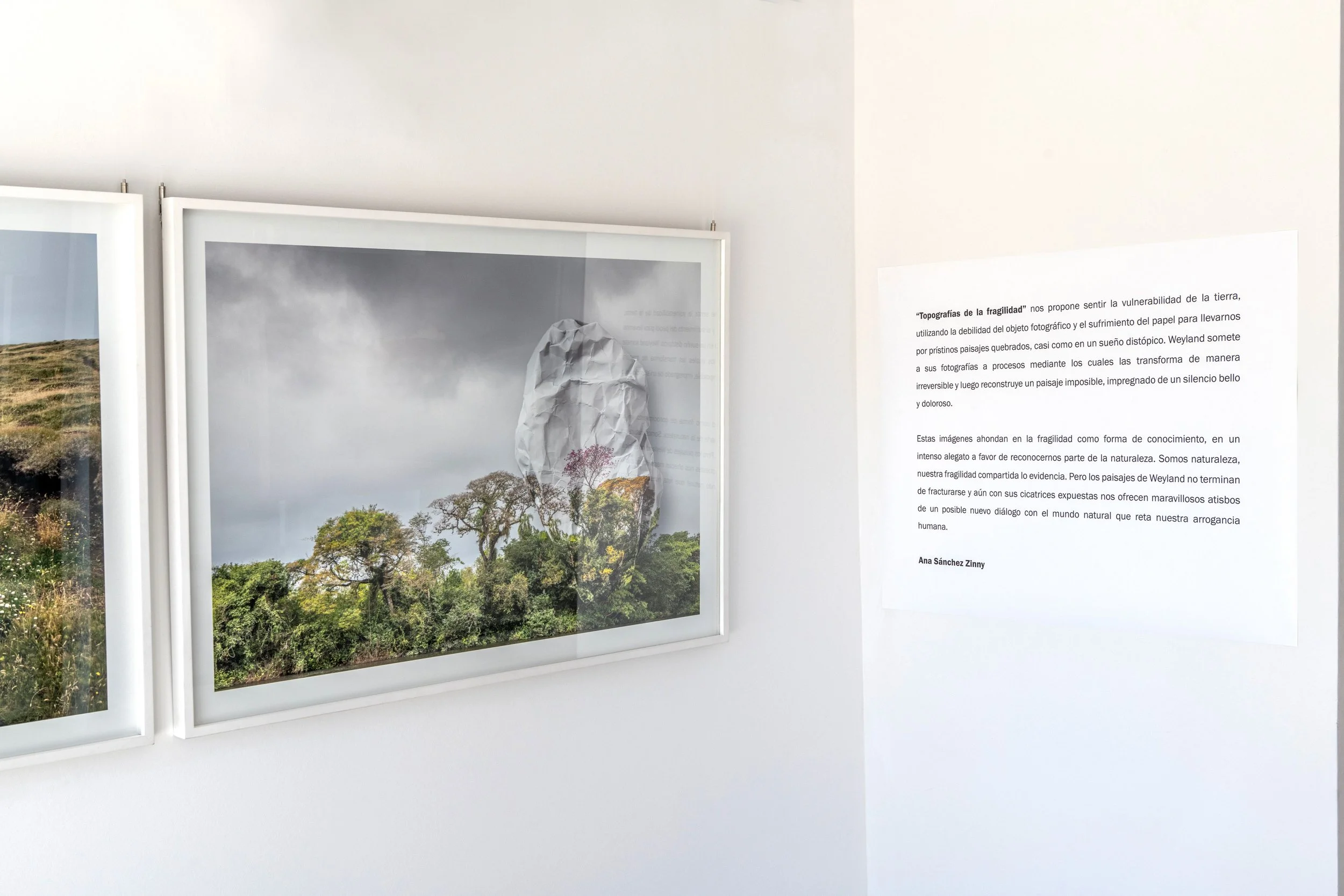 _ING6009-1 copy 2.jpg