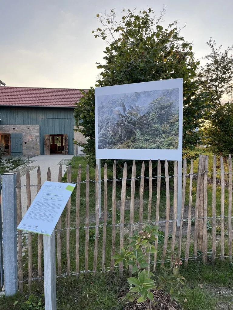 Biennale de la Photographie de Mulhouse1.jpeg