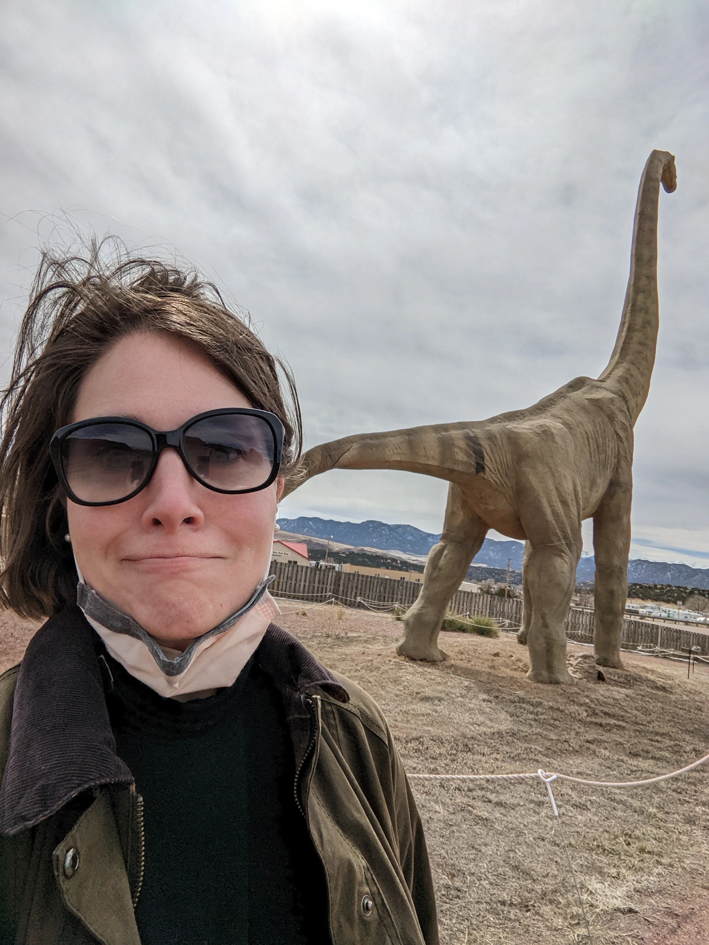 One perk to having dinosaur-loving children is getting to see weird, extraordinary roadside attractions like this one up past Canon City, Colorado.