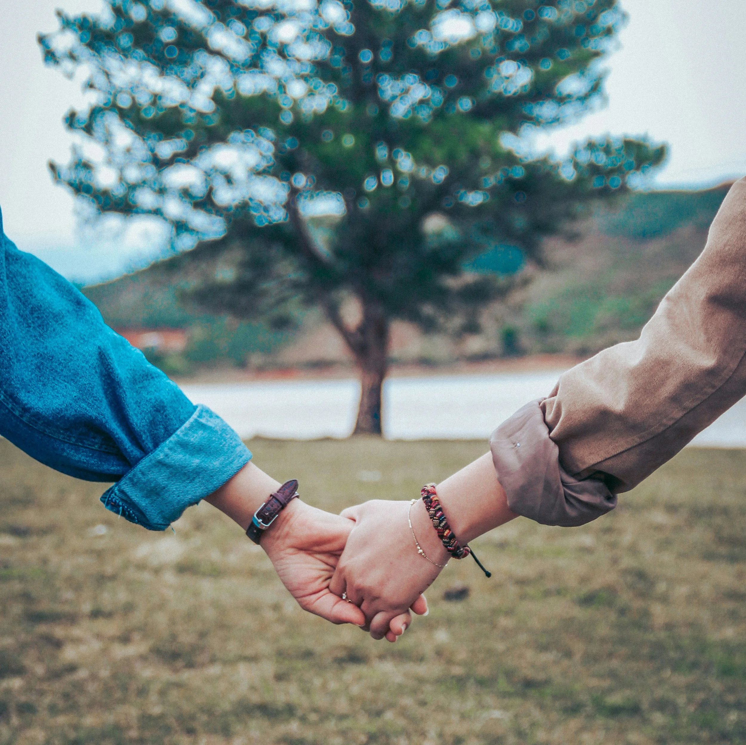 Image of two people holding hands in front of a tree.