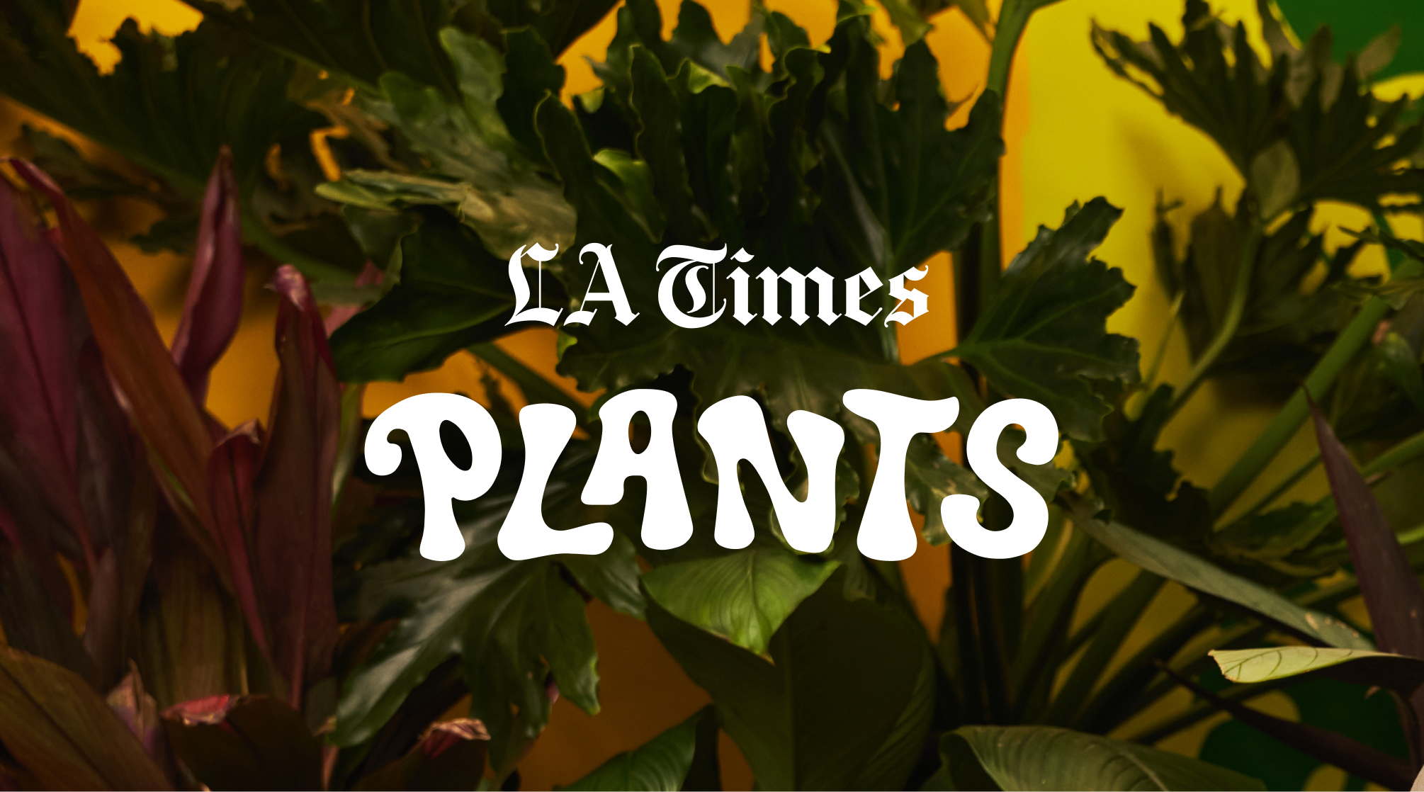 LA Times