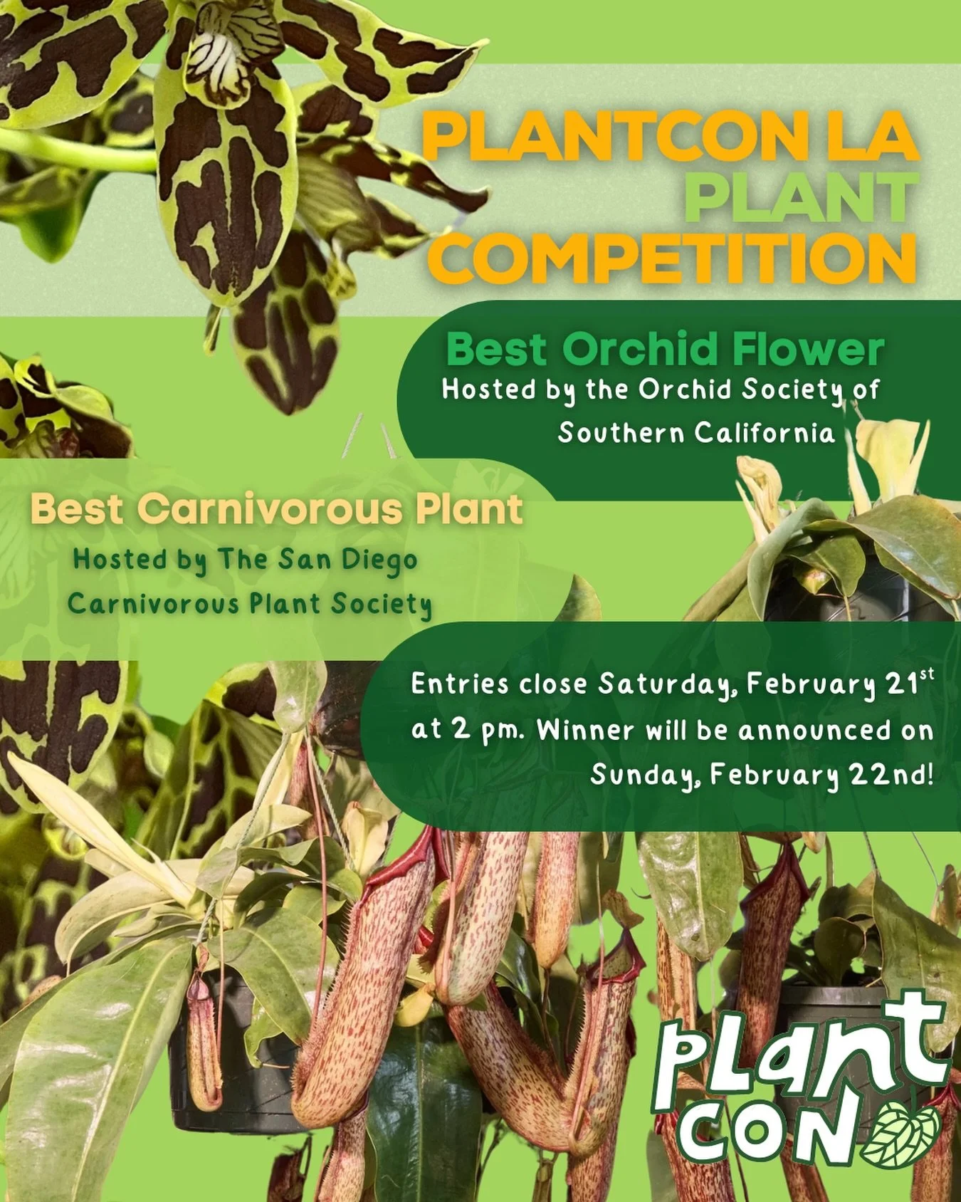 PlantCon is teaming up with 2 local nonprofit societies to put on our first Plant Competition on the west coast.

The San Diego Carnivorous Plant Society is hosting the &ldquo;Carnivorous Plant&rdquo;Competition

The Orchid Society of Southern Califo