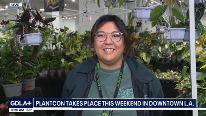 Good Day LA (FOX 11)