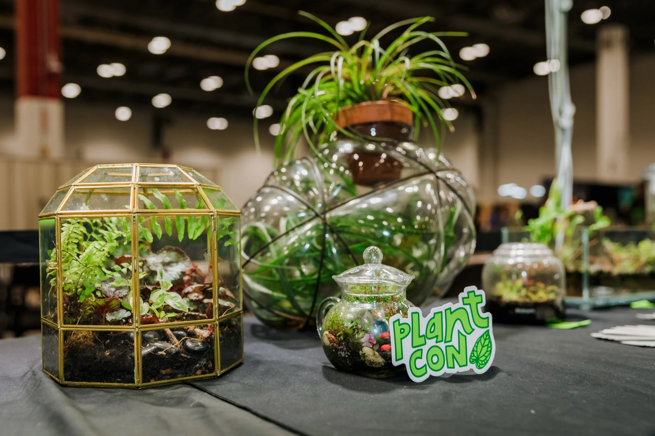 📢The Largest Plant Convention in the Nation. 
🌱Workshops
🌱Reptiles
🌱Tattoos
🌱Presentations
🌱Obvi Plants
🌱Special Guests + Meet and Greets
🌱Competitions

‼️🔗Link in bio

✨PlantCon Details Below✨
🎟️ for more info go to plantcon.org 📍 UPCOMIN