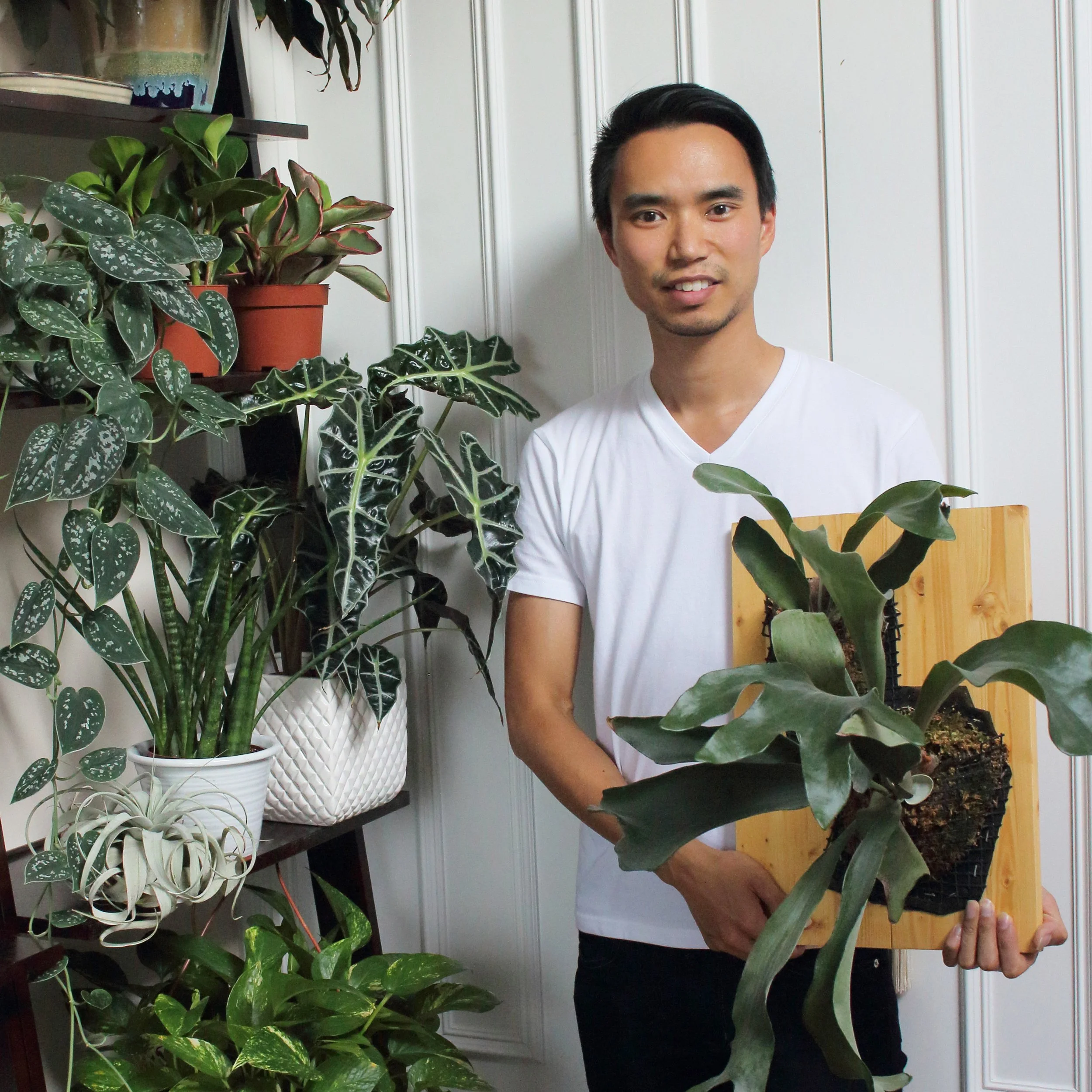 Darryl Cheng 