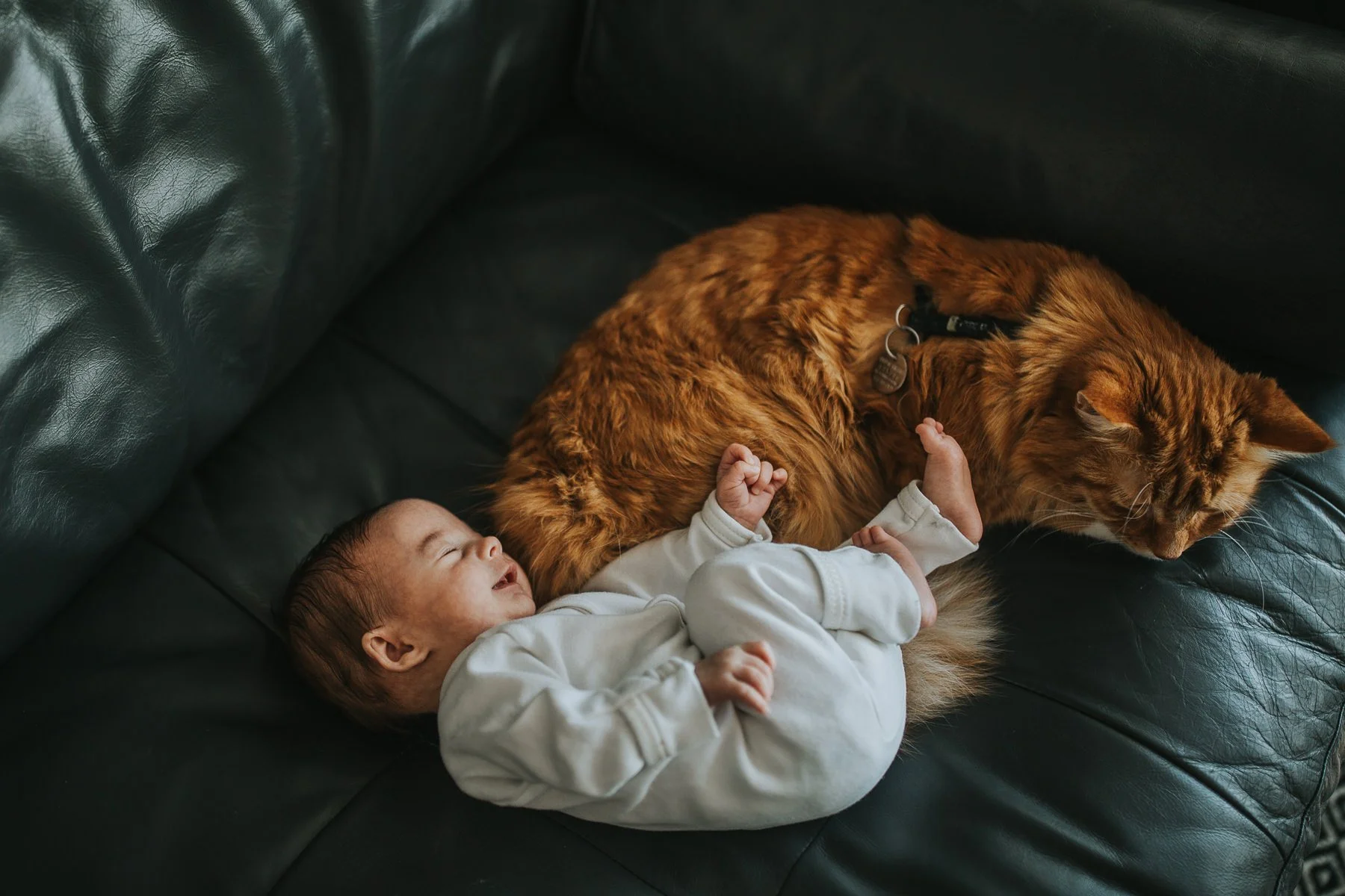 Calgary-Newborn-Photographer