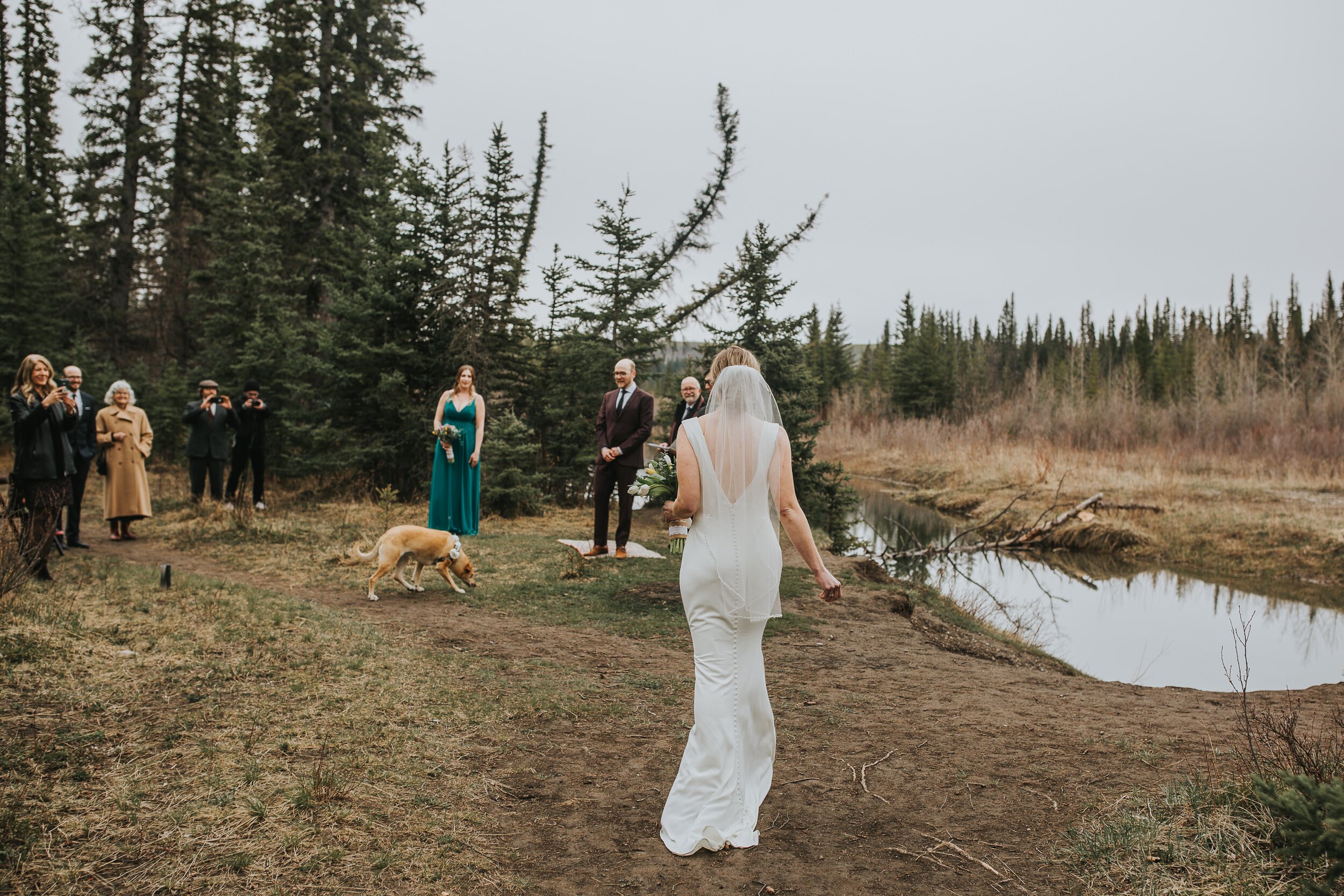 Woodsy-Calgary-Micro-Wedding