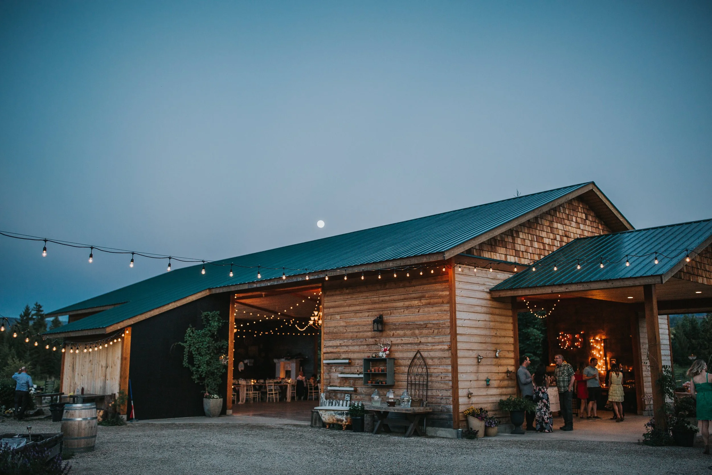Shuswap-Lake-BC-Wedding-Photographer