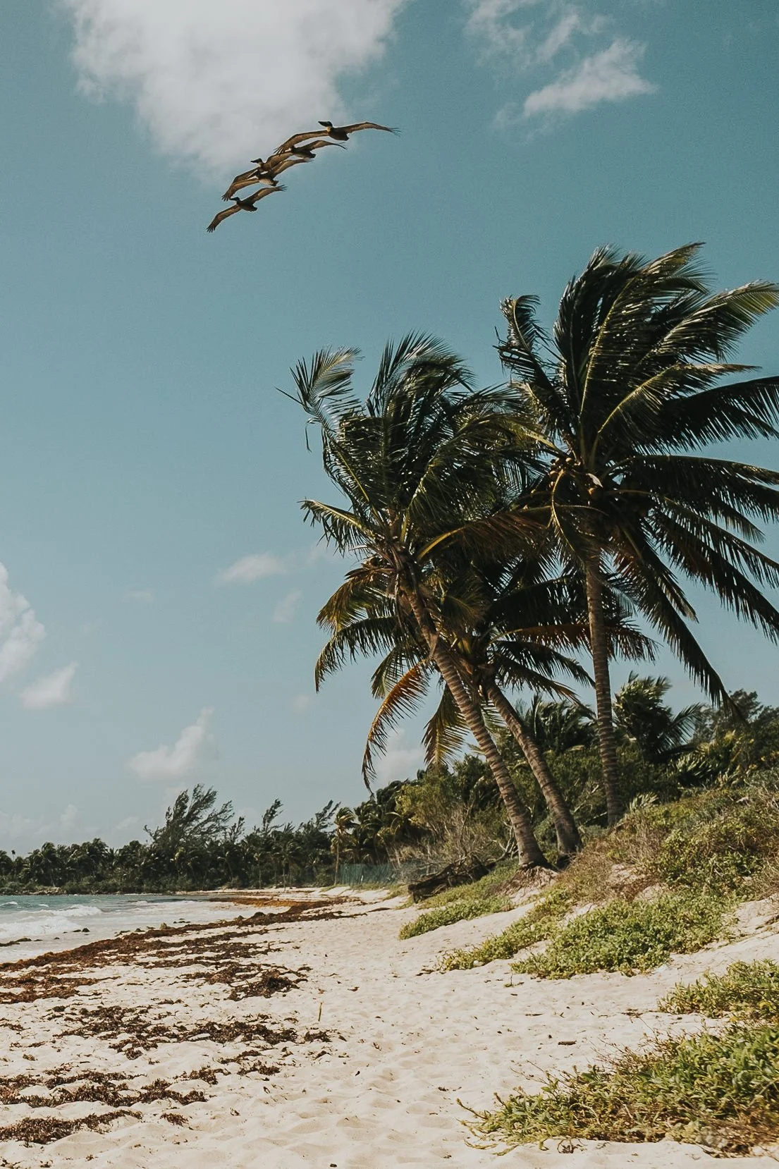 Destination wedding in Playa Del Carmen Mexico