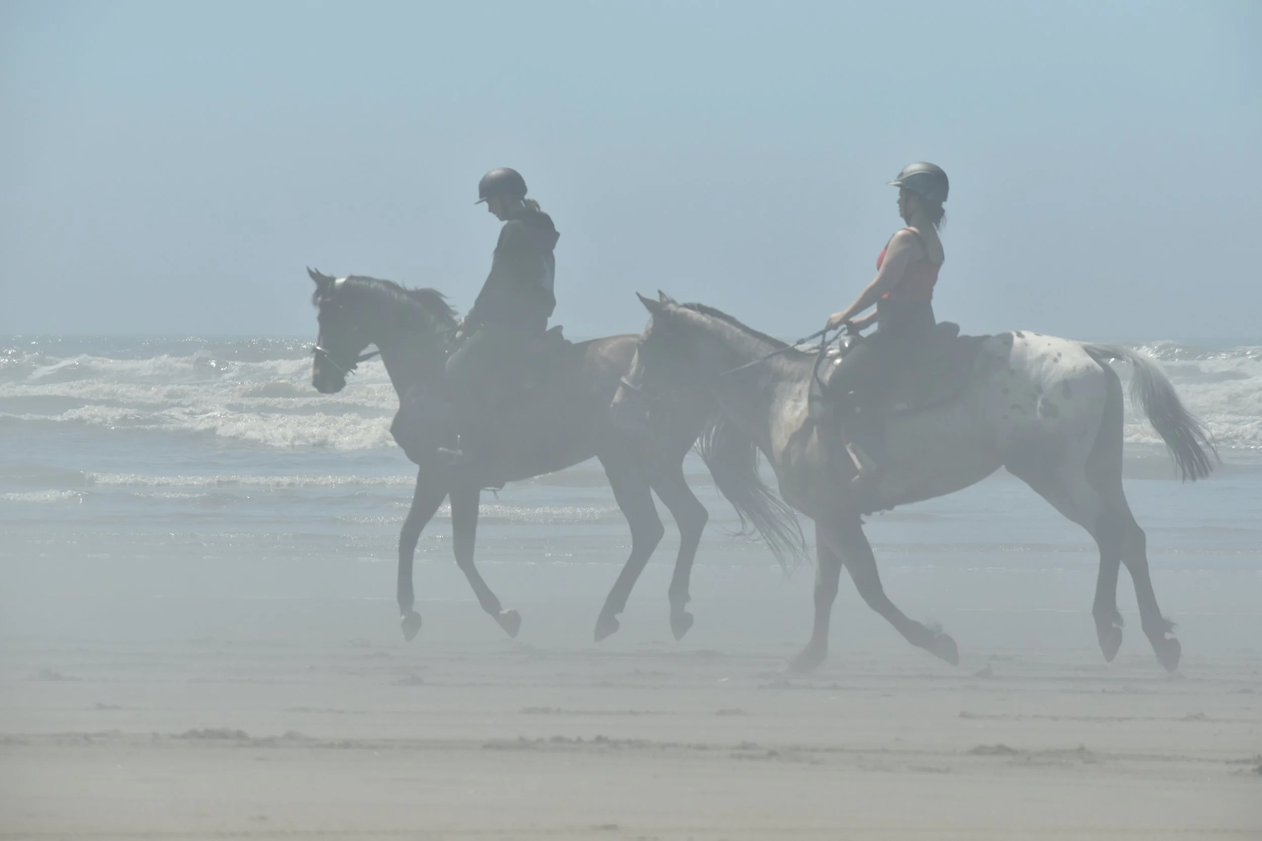 July 2025 Ocean Shores