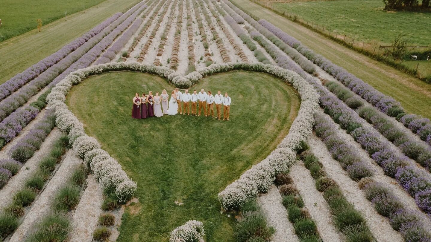 Feels like this summer is just flying by ✌🏻
______________

Venue| @loveleighlavender 
______________

#dronephotography #dronephoto #lavenderfield #thefraservalley #weddingphotographer #weddinginspiration #weddingvideographer #weddinginspo #fraserv