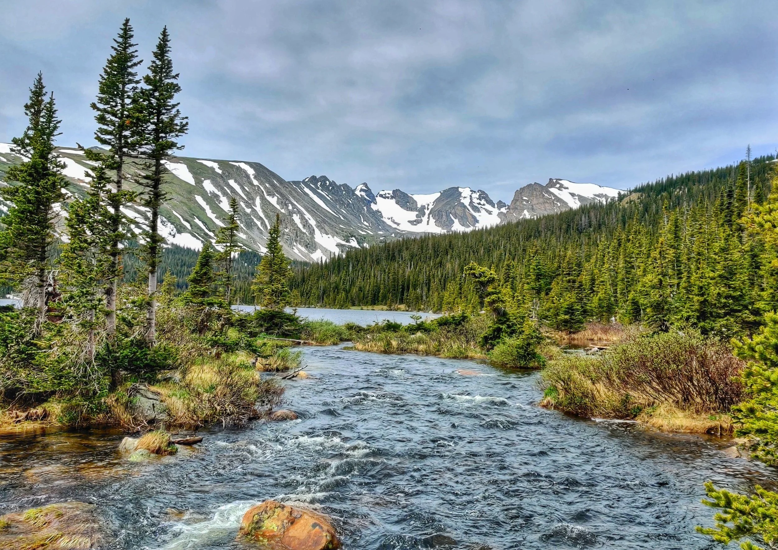 Conquering the Current: The Best Fly Fishing Flies for Trout in Colorado