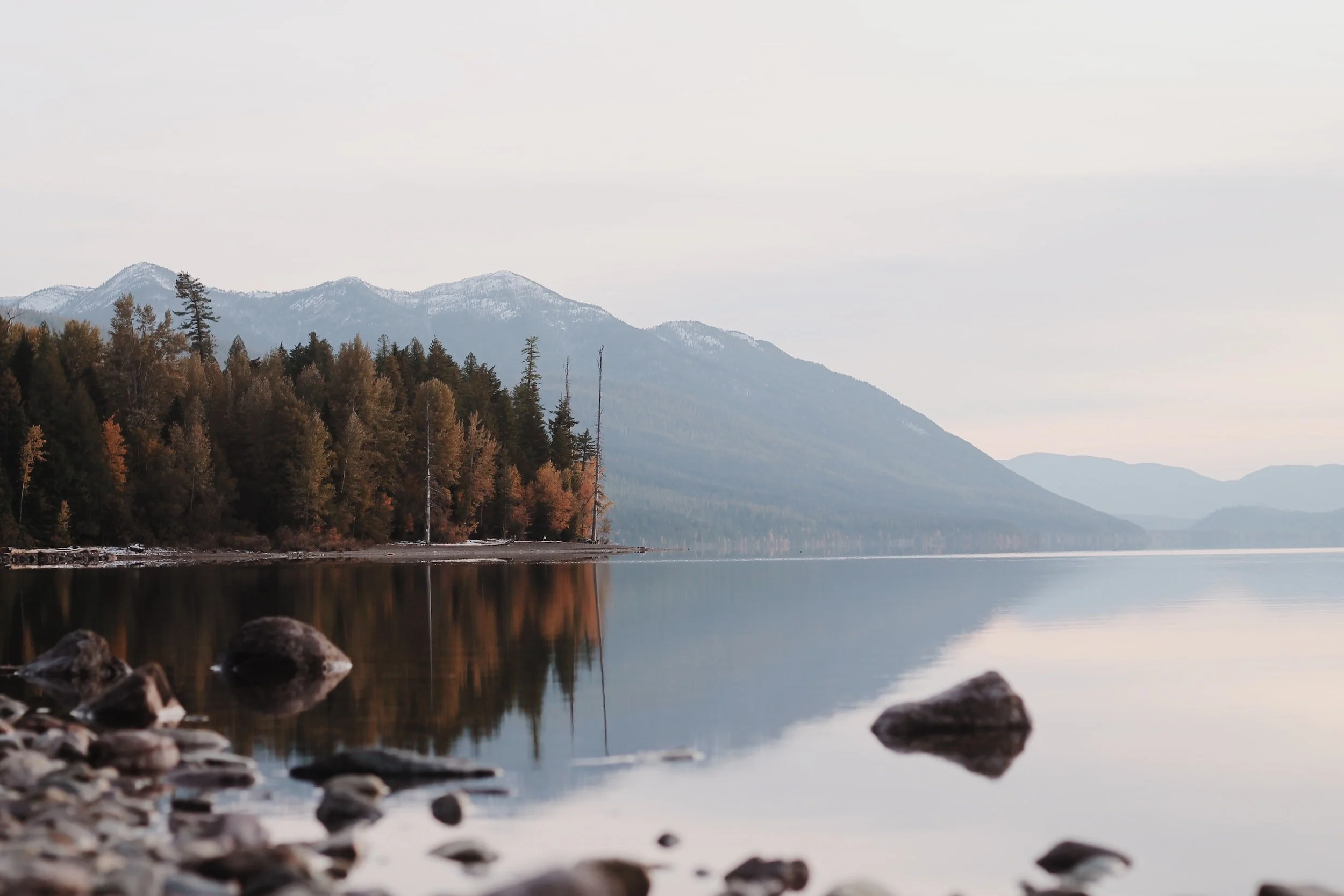 Montana Fly Fishing Magic: Best Flies for Trout Hunting