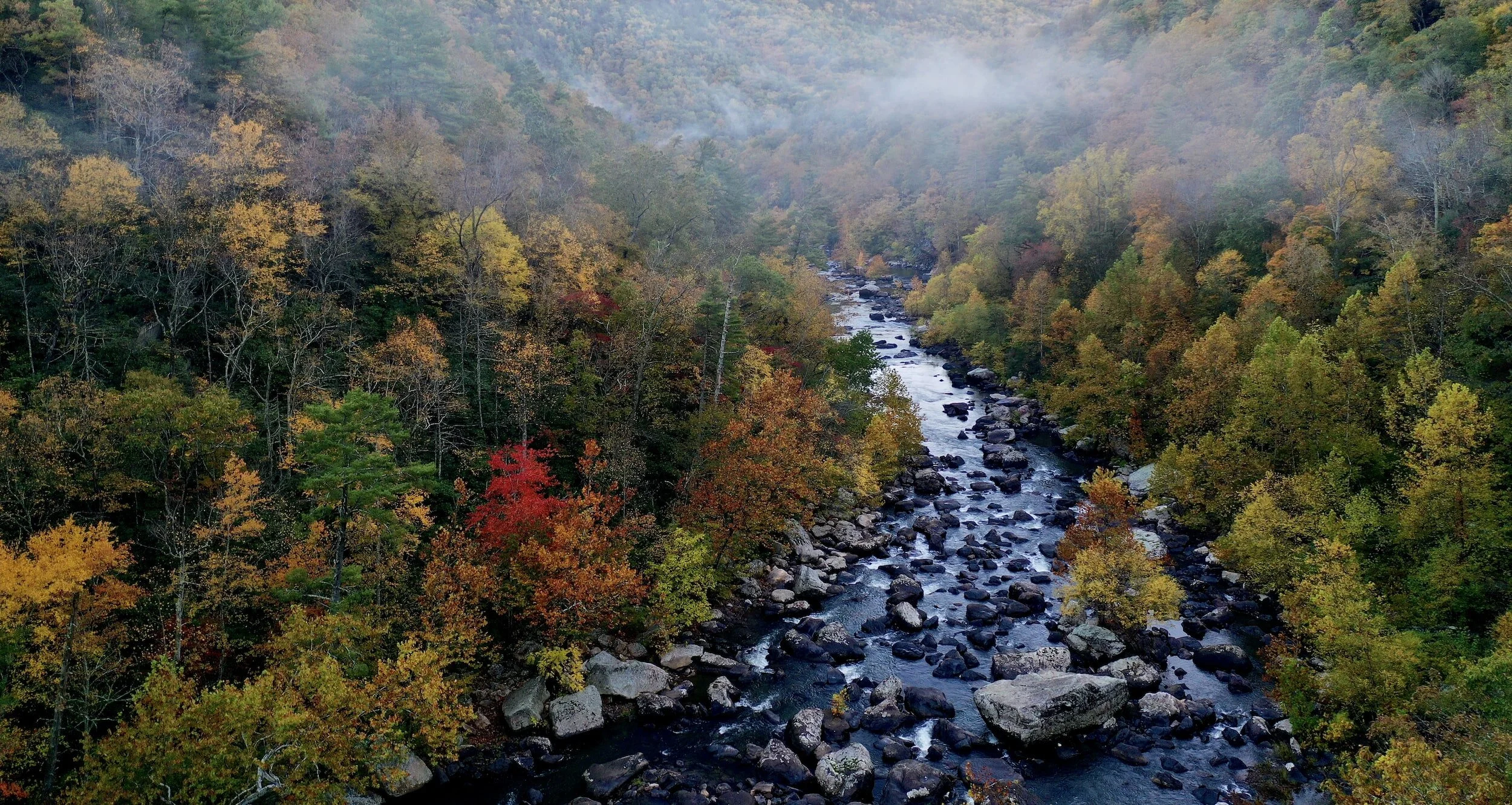 Virginia's Finest: Top Fly Fishing Flies for Trout
