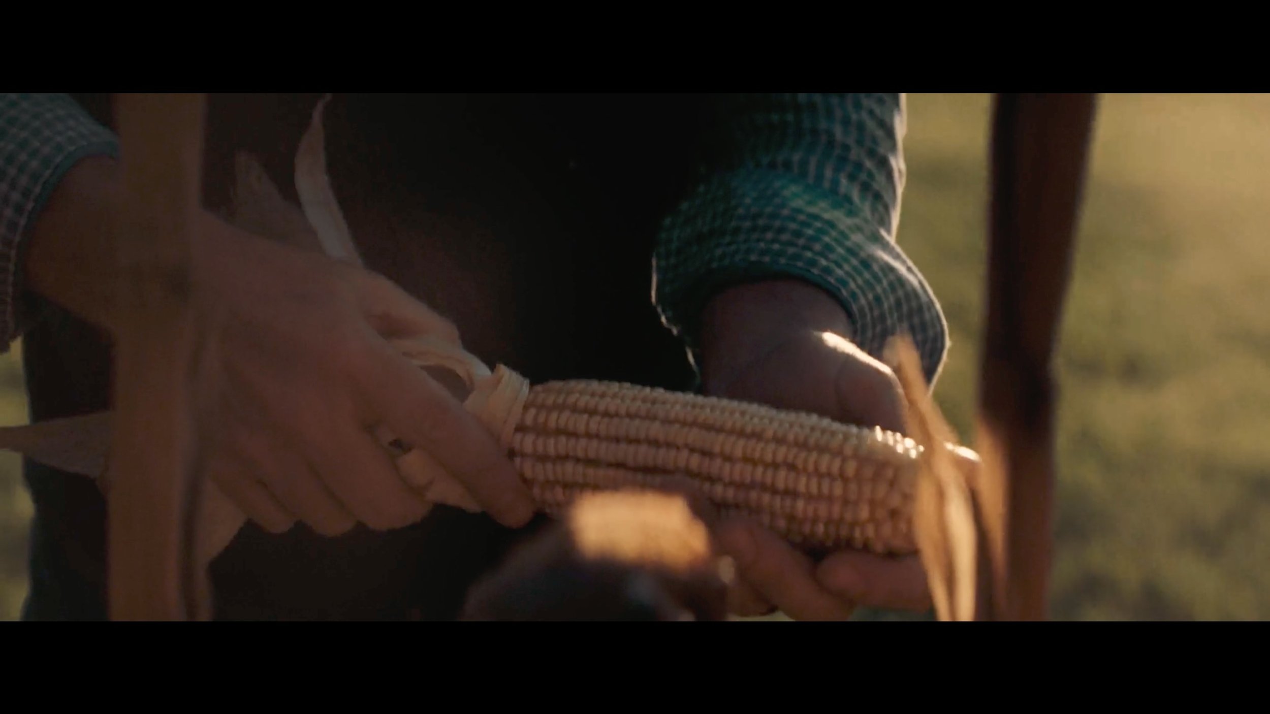 lfd-corn-detail.jpg