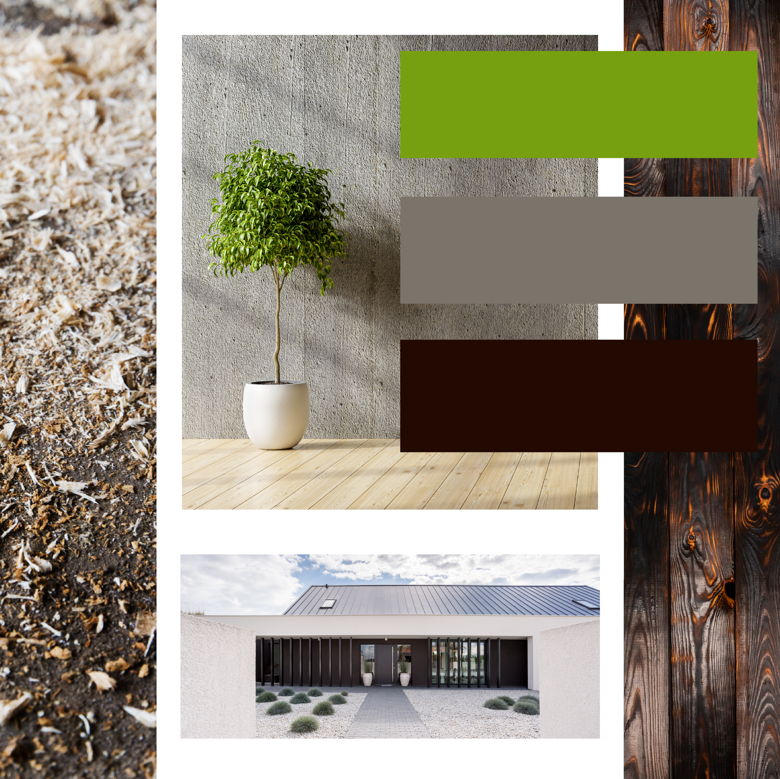 LEADCOLORCONCEPT2.png