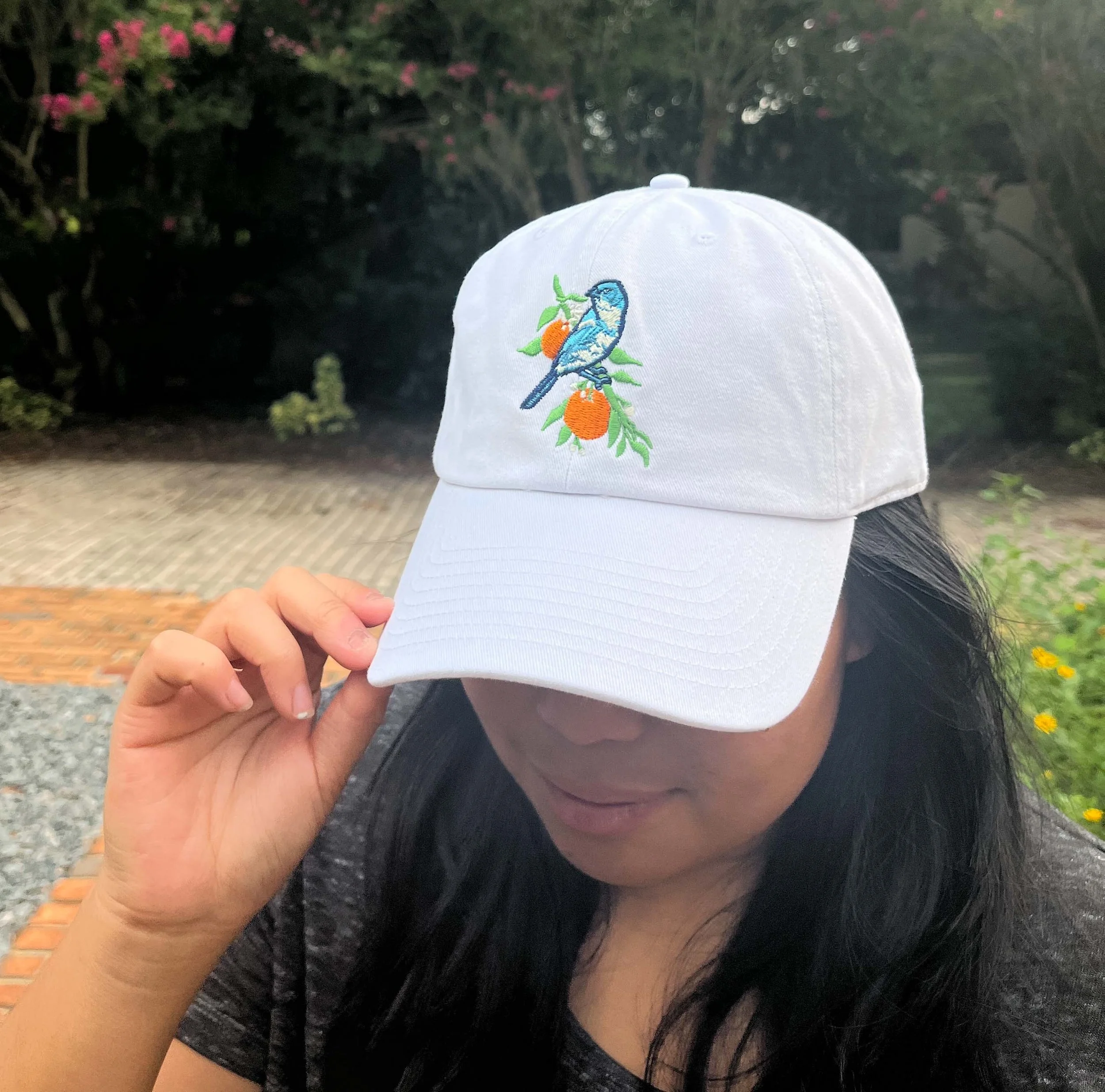 Ball Cap: Scrub Jay