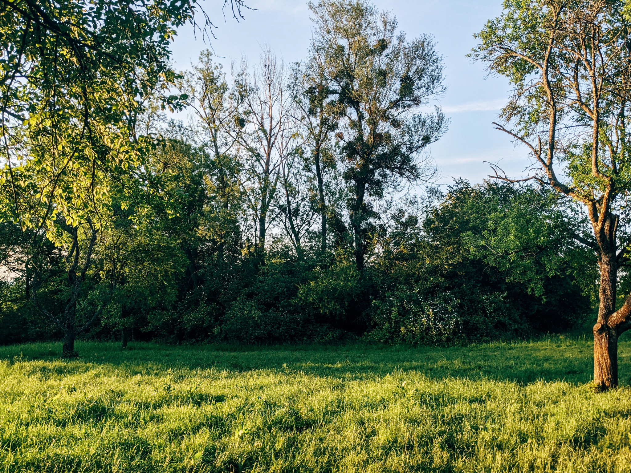How to Choose the Right Lot for Your Custom Home