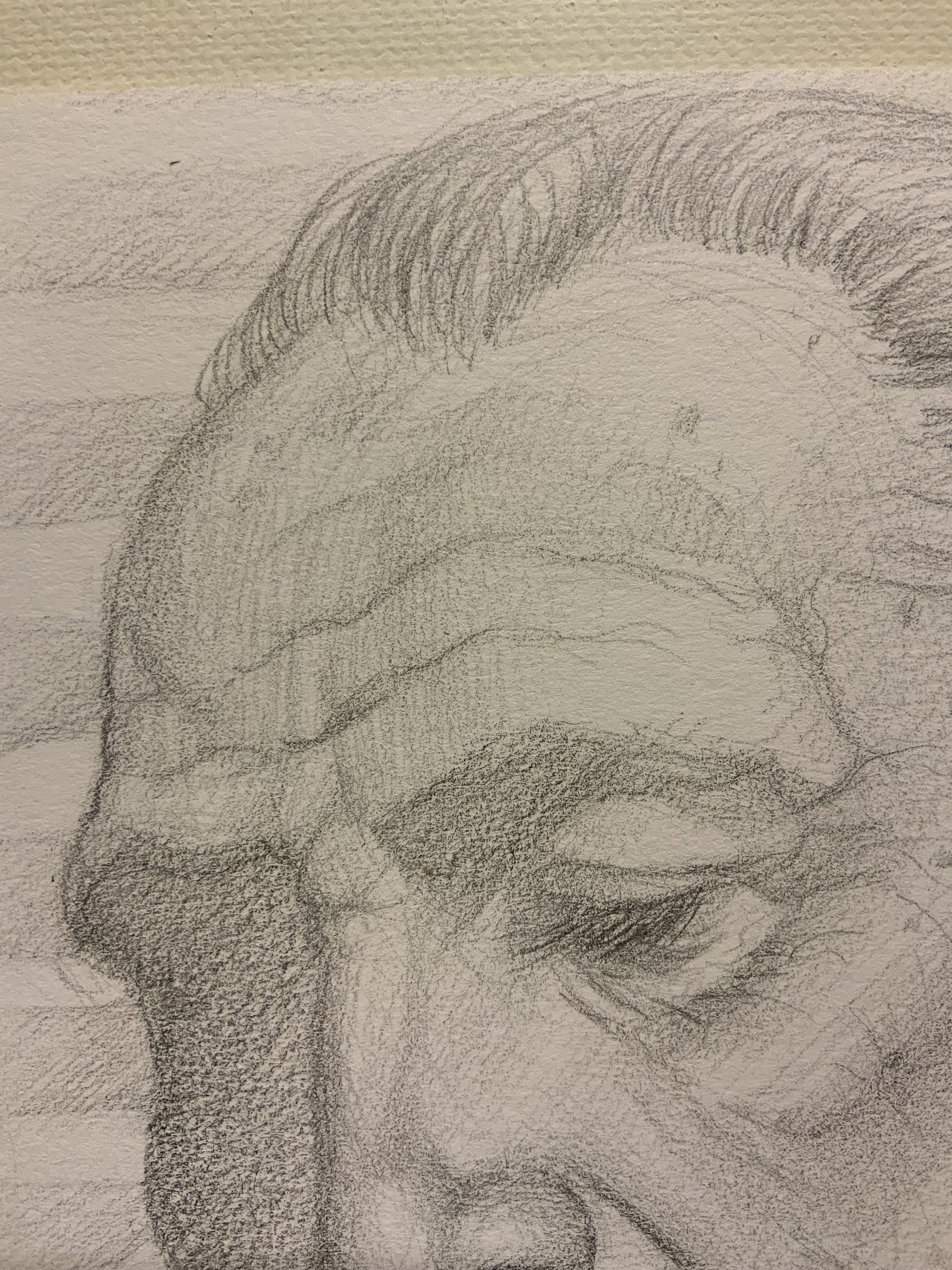 IMG_4471.jpeg