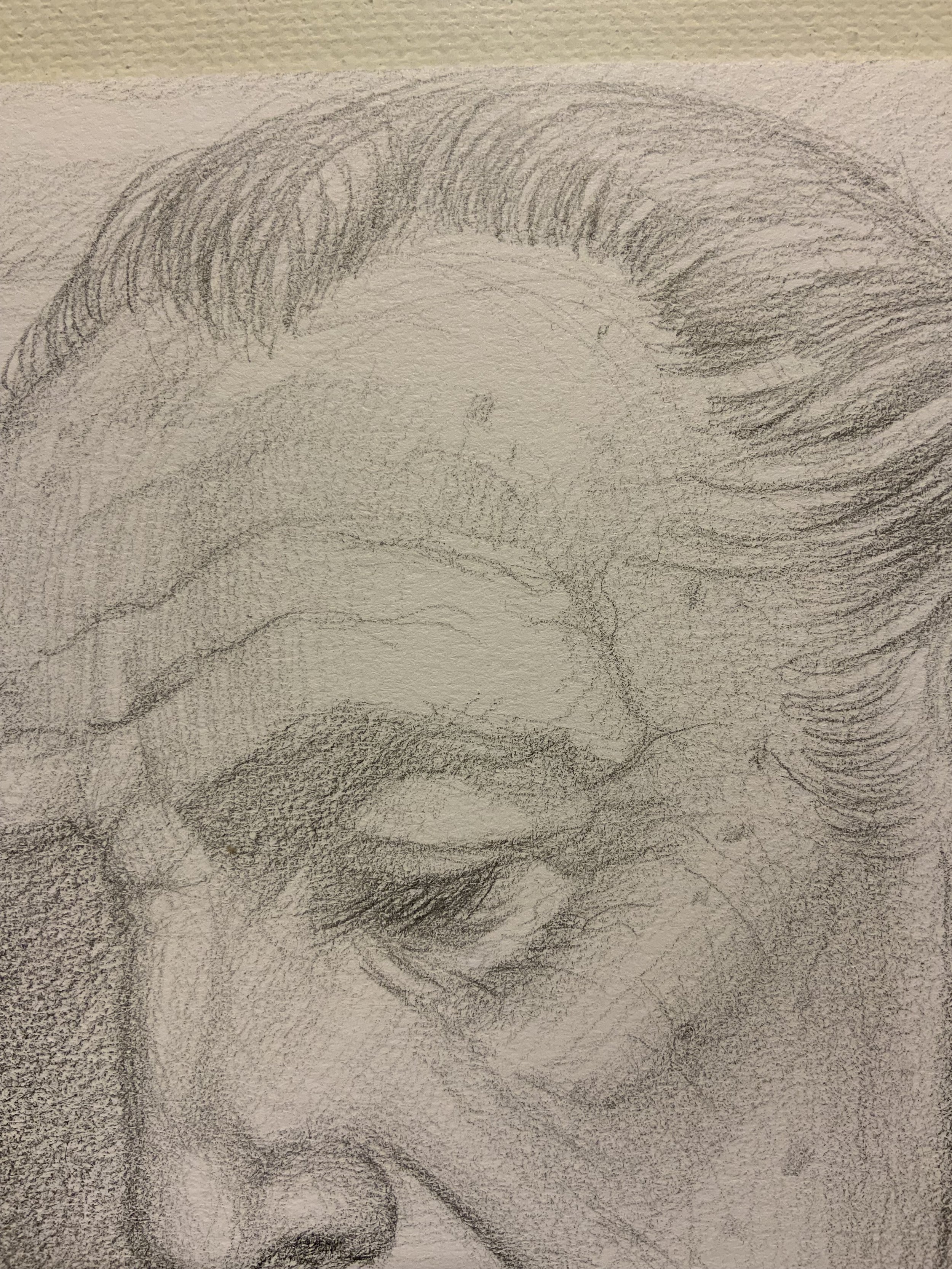 IMG_4472.jpeg