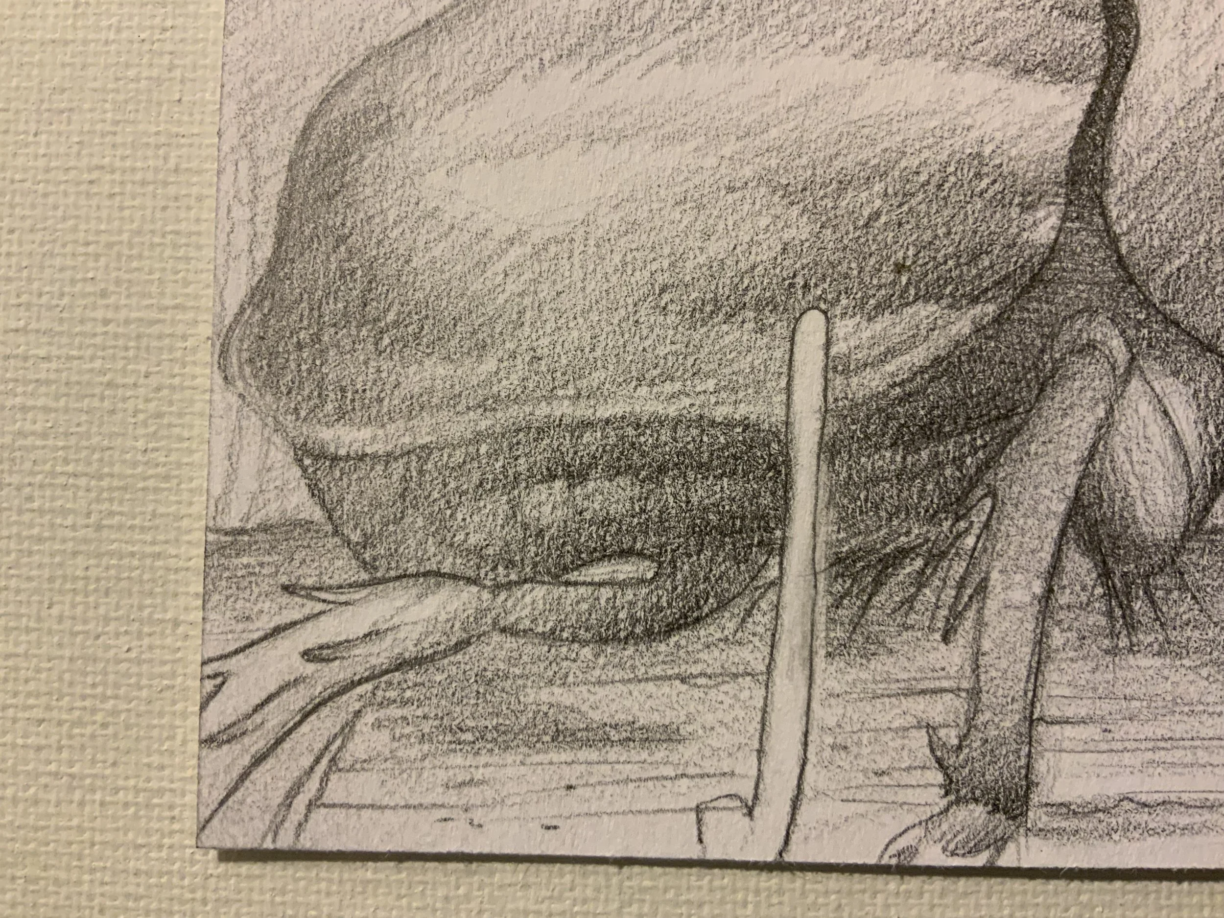 IMG_7144.jpeg