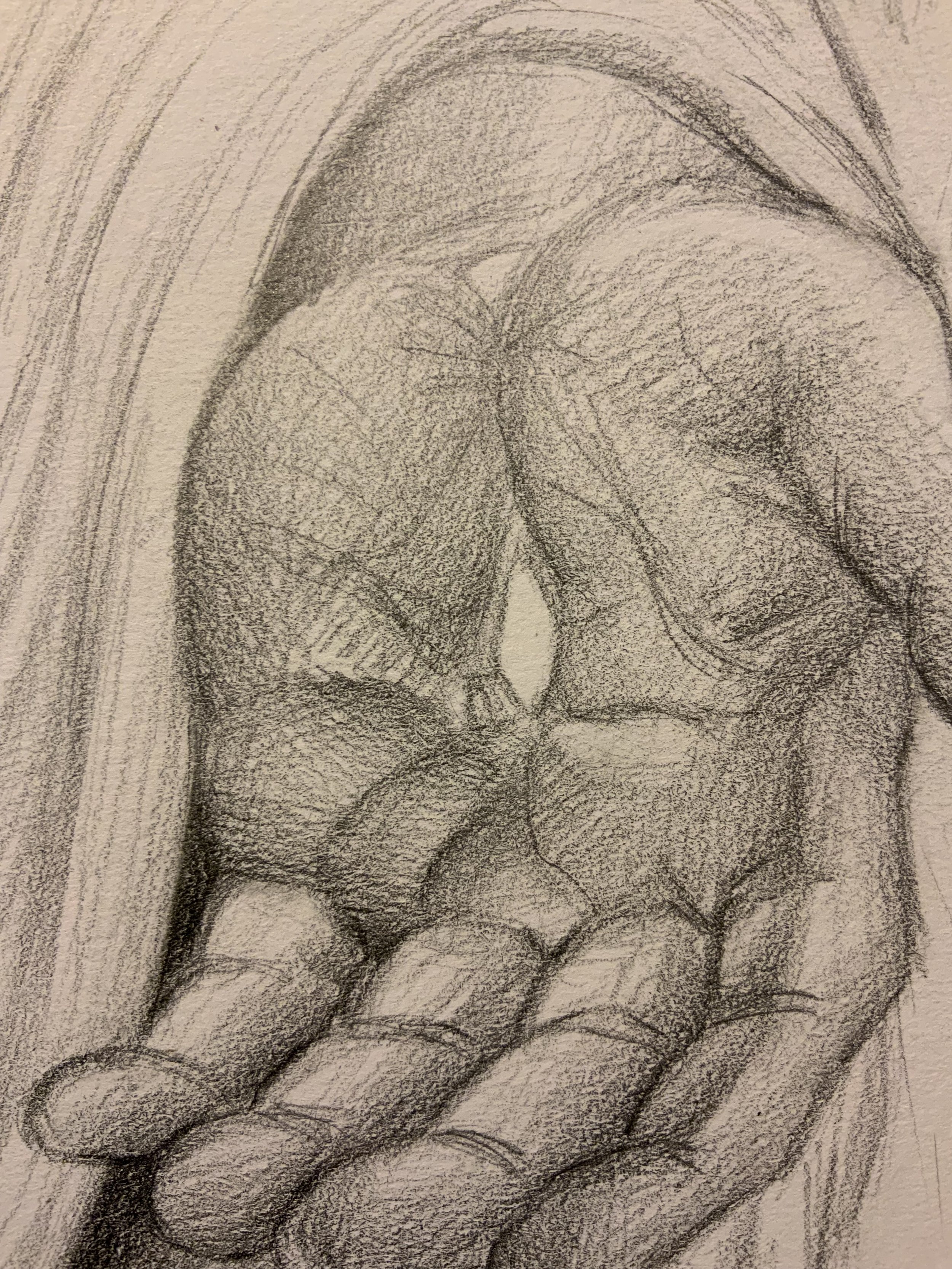 IMG_6823.jpeg