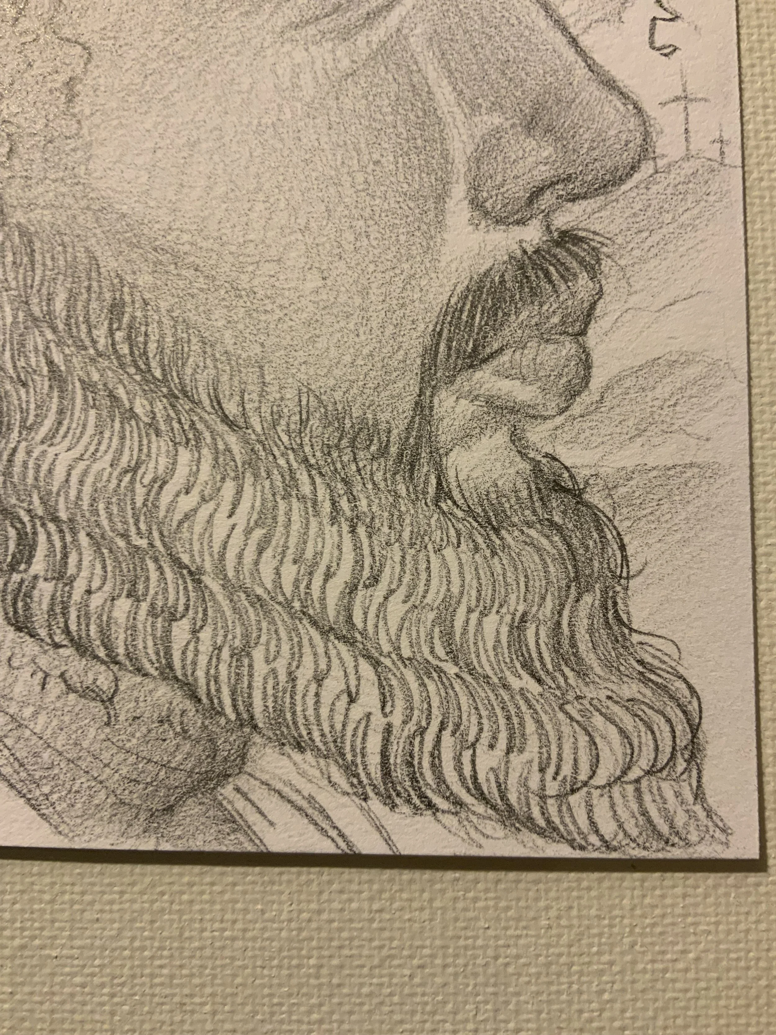 IMG_7012.jpeg