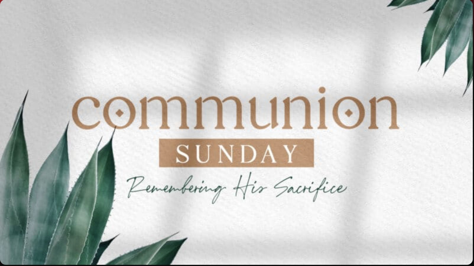 Communion Sunday