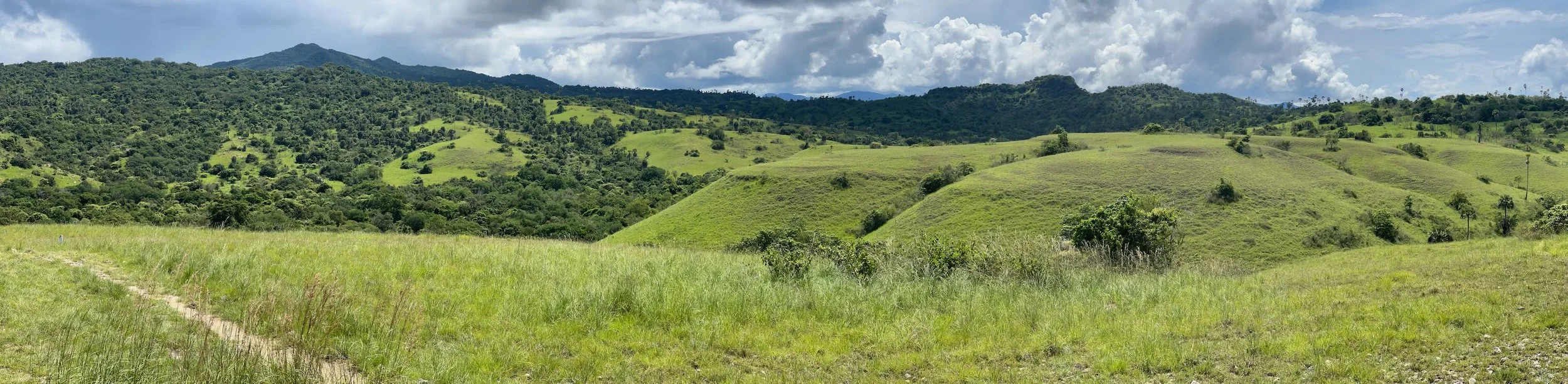 Komodo National Park