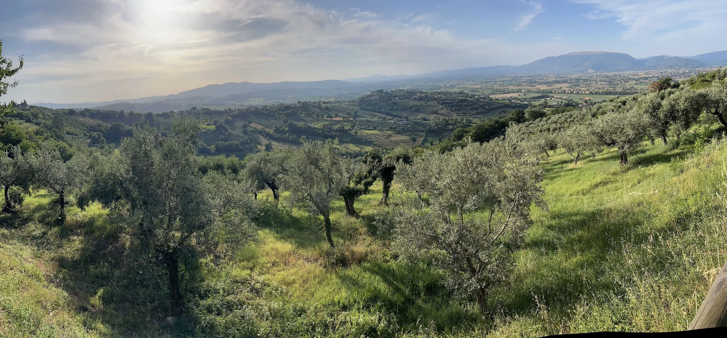 Monte Falco, Umbria, Italy