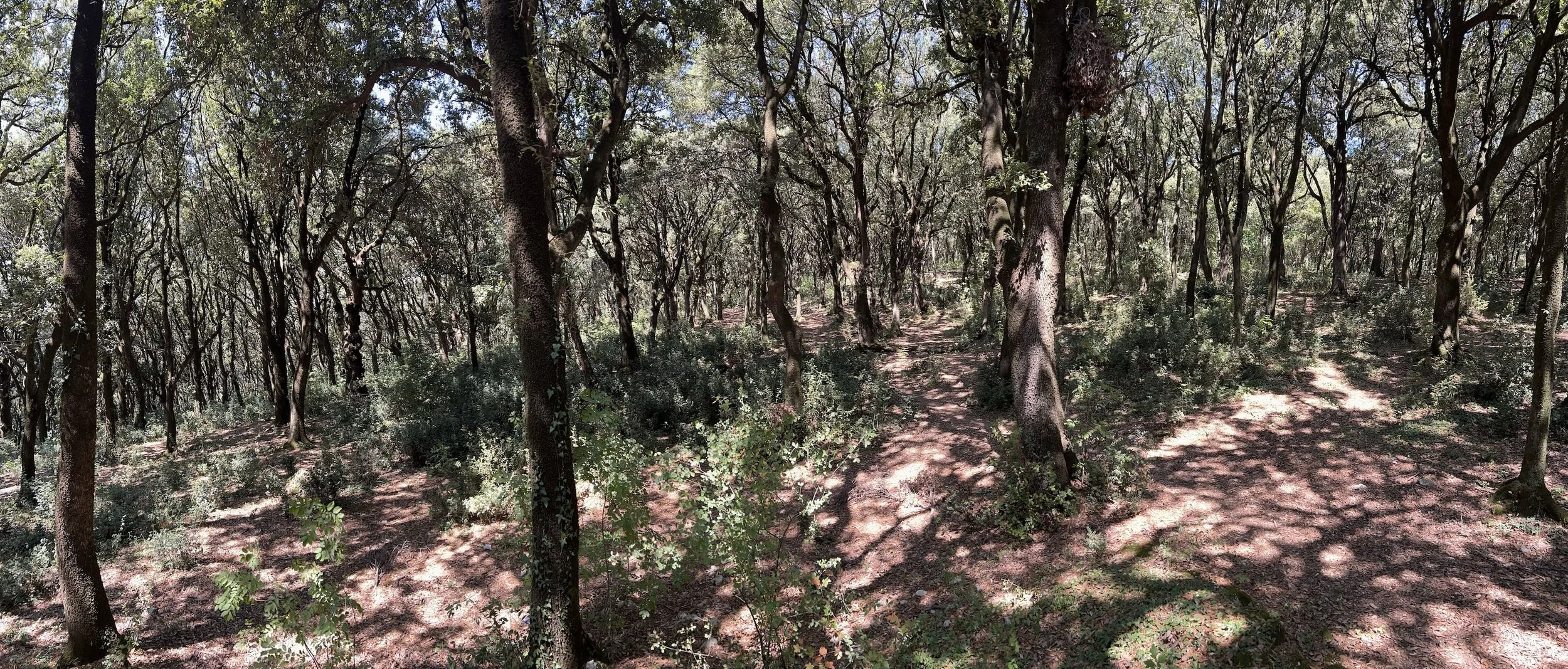 Off the beaten track above Spoleto, Umbria, Italy