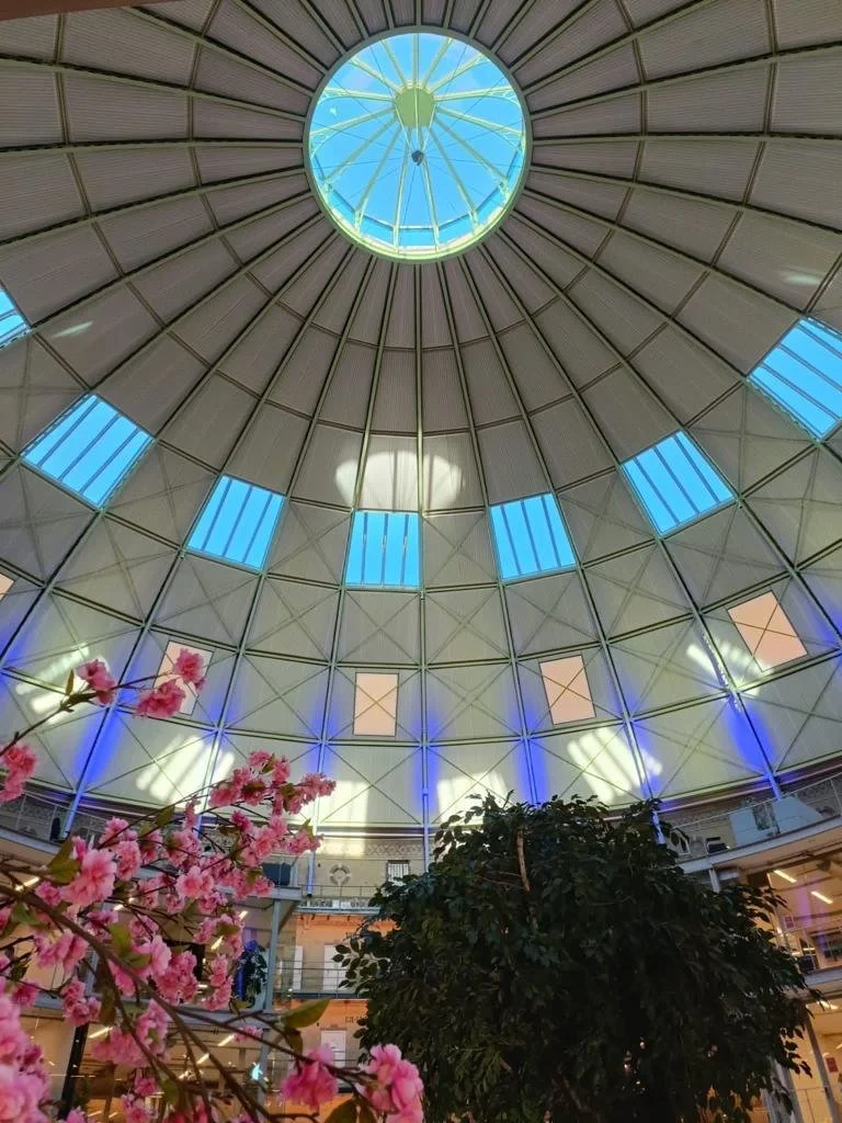 dak-de-koepel-2026.jpeg (Copy) (Copy) (Copy) (Copy)