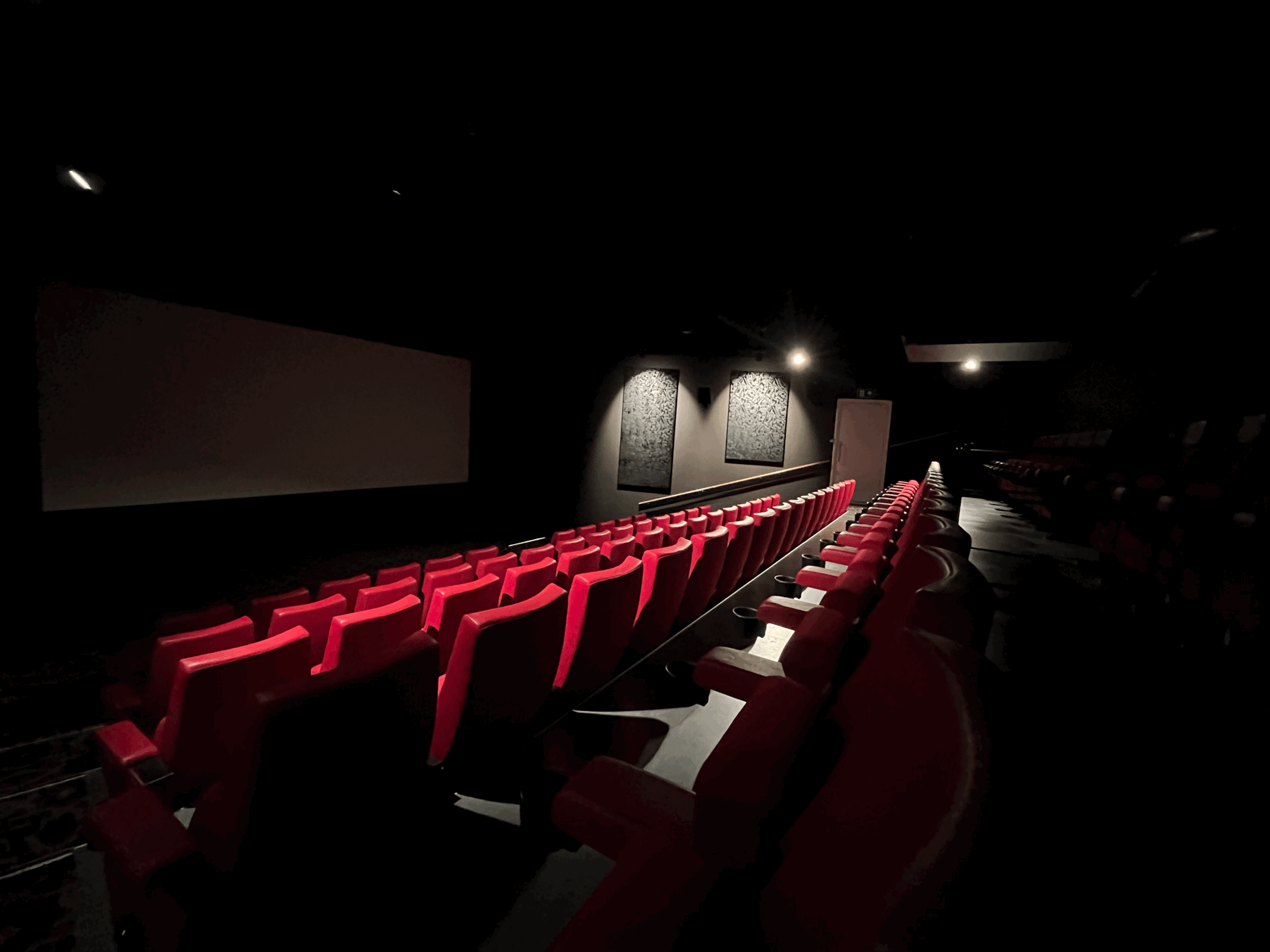 Cinema Halls Small &amp; Large