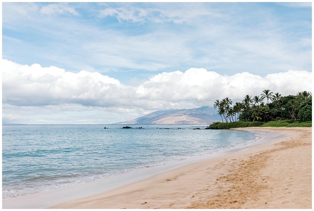 Maui Sunrise Elopement_0141.jpg