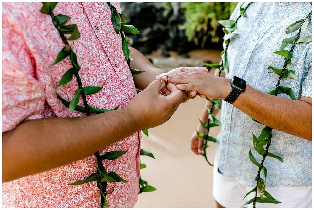 Maui LGBTQ Elopement_0024.jpg