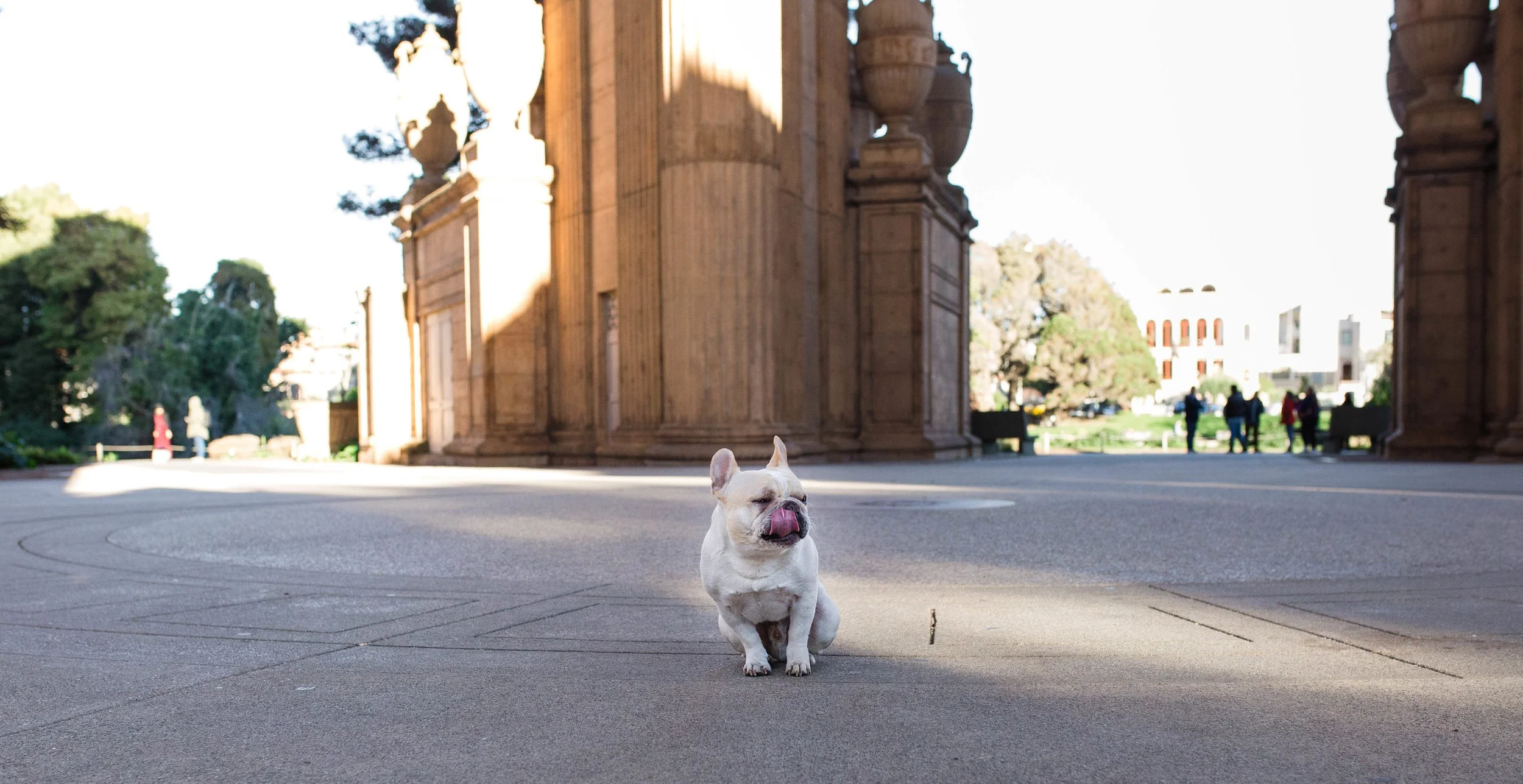 IMG_3912.jpg