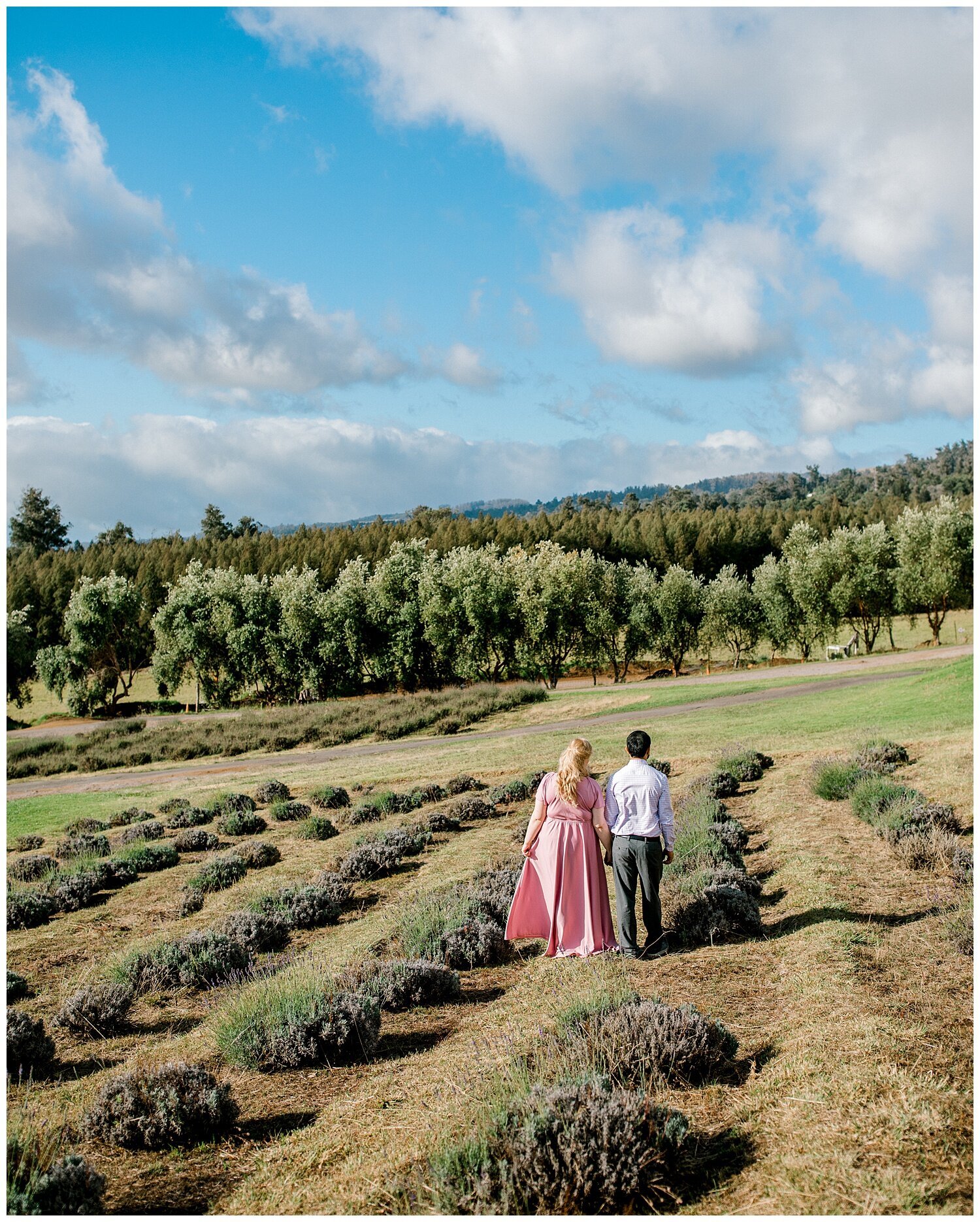 Couples Photo Session at Kula Lavender Farm_0097.jpg