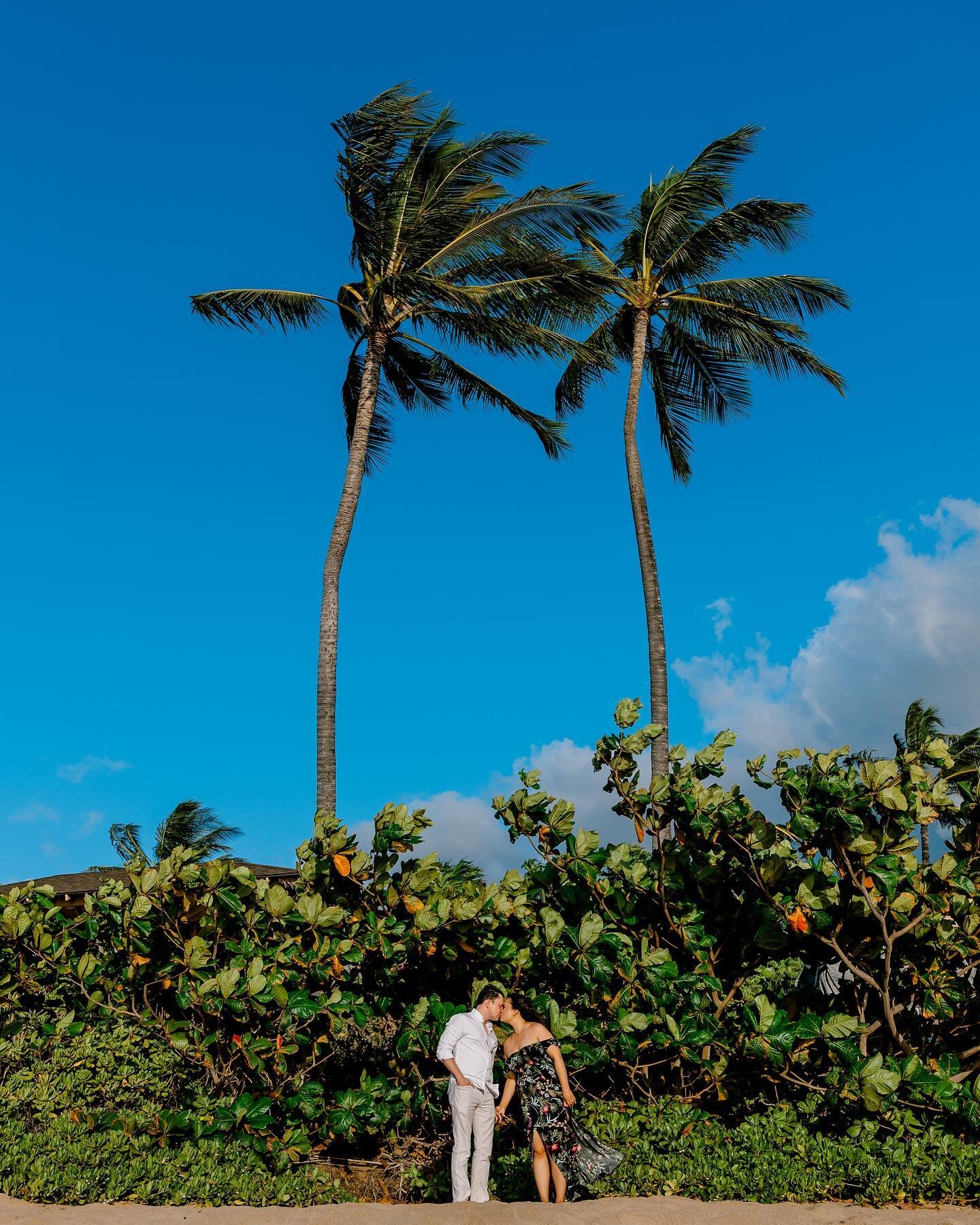 #coloryourfeed 💙 today in @vanessahicksphotography challenge!  And it&rsquo;s Aloha Friday!  What are your weekend plans?

#mauiphotographer #mauicouplesphotographer #mauicouples #mauicouplesphotography #mauiengagementphotographer #mauiengagement #m