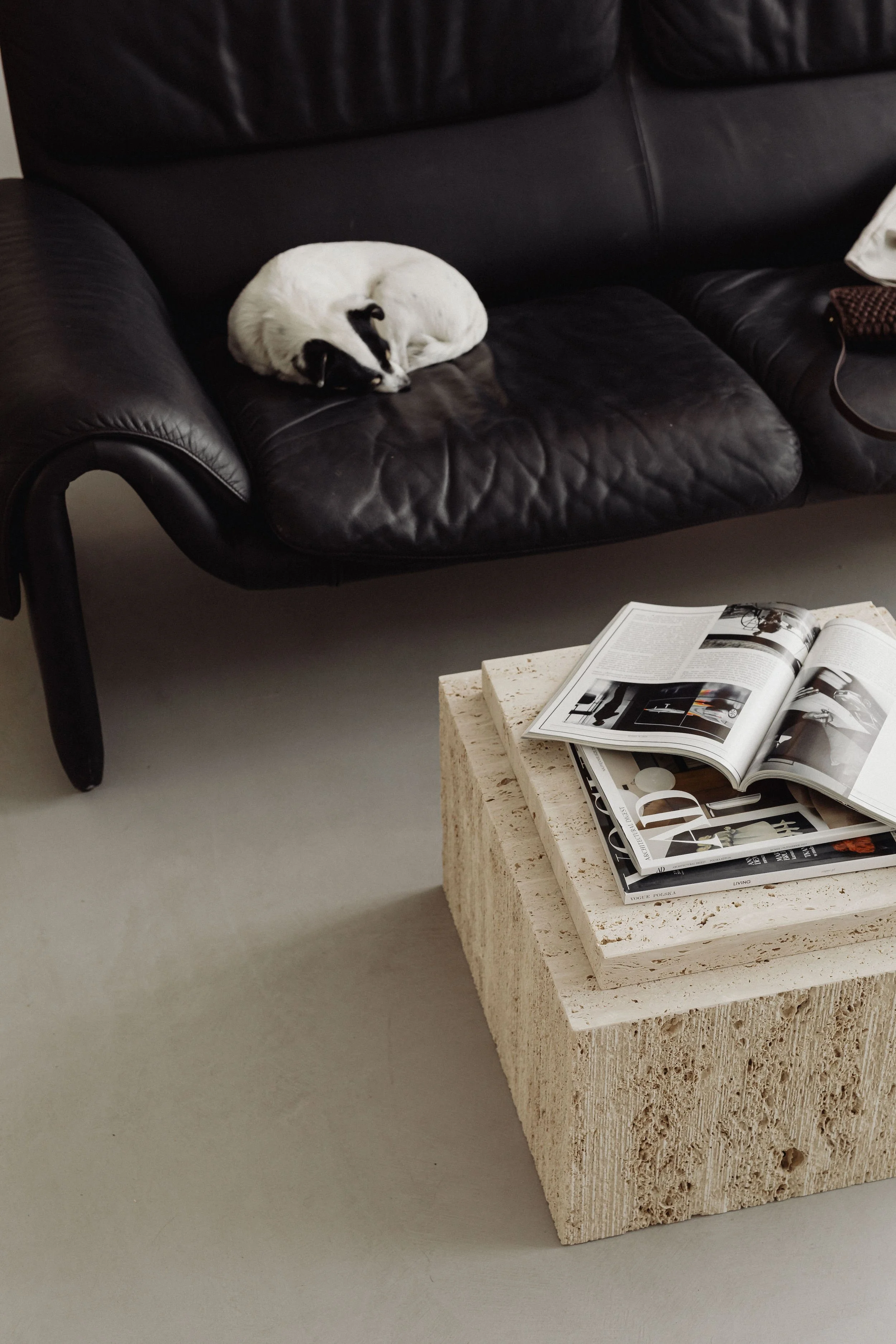 Black leather couch with a small black and white dog sleeping on it, next to a stone coffee table with open magazines.