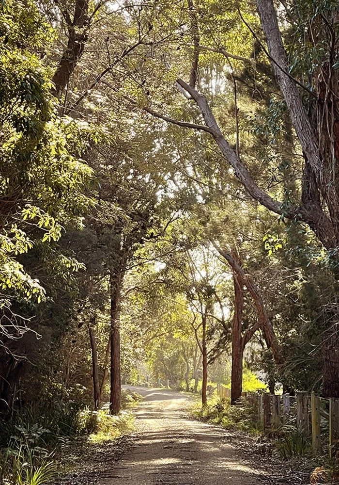 Path from beach.jpg