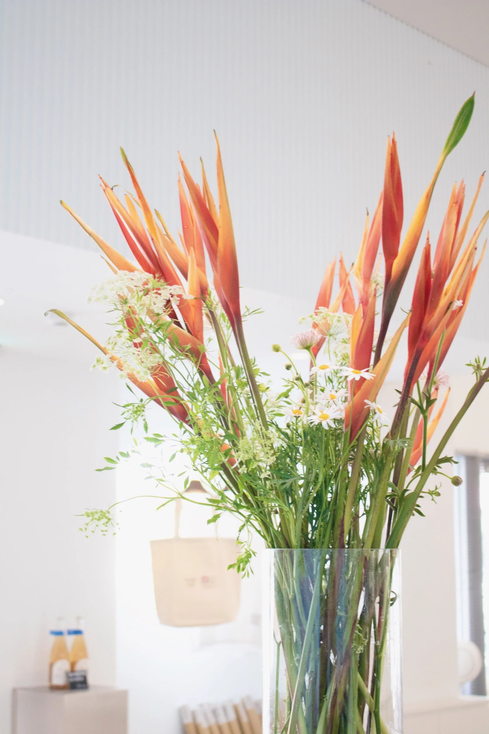 年節裡愛的流動