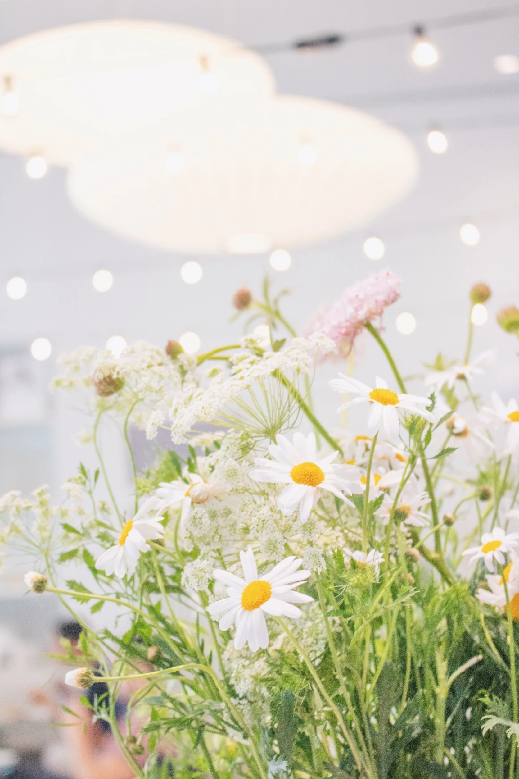 從日曆中翻頁的積極