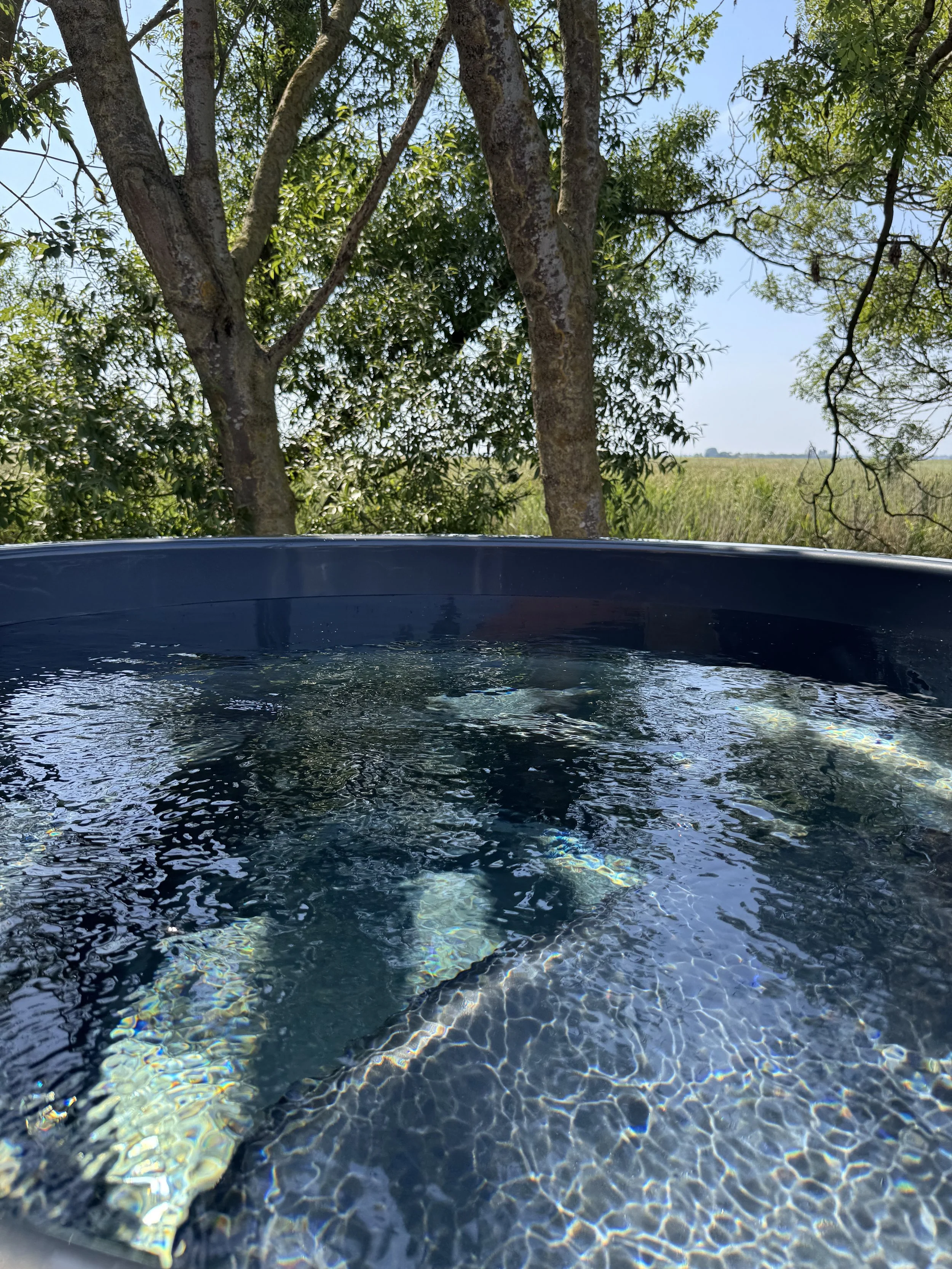 Wellnez-atelier-barrelsauna-hottub-terre-de-nord (6).jpeg