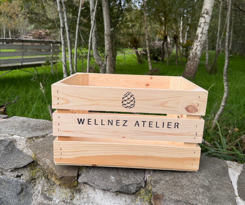 Wellnez-atelier-wellnezbox.png